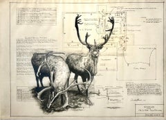 Clear Passage - Deer in Graphite on Antique Architectural Drawings 