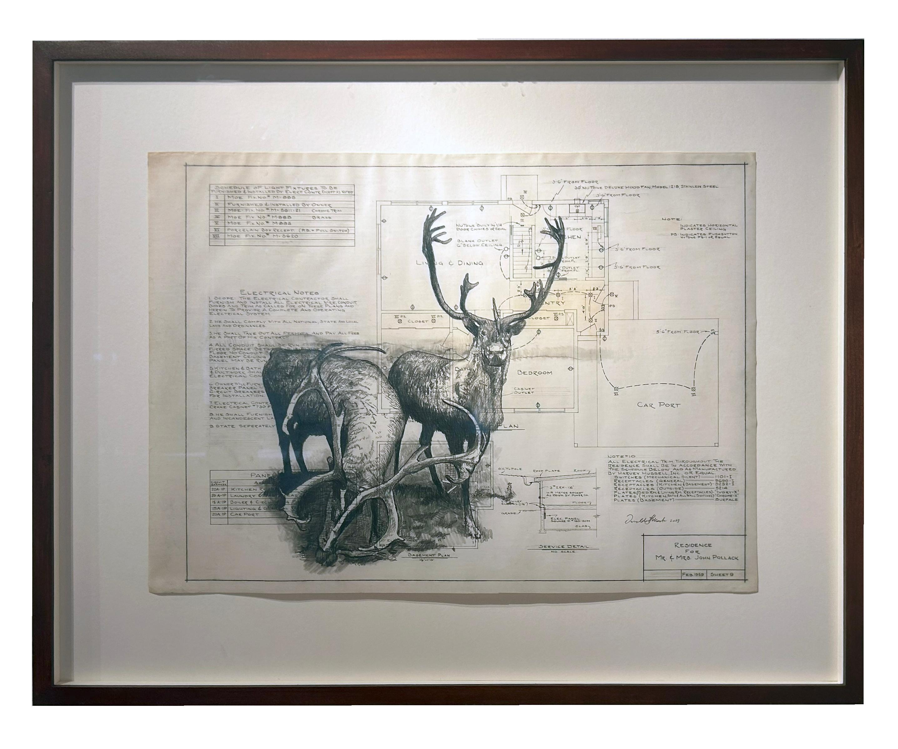 Don Pollack Animal Art - Clear Passage - Deer in Graphite on Antique Architectural Drawings 