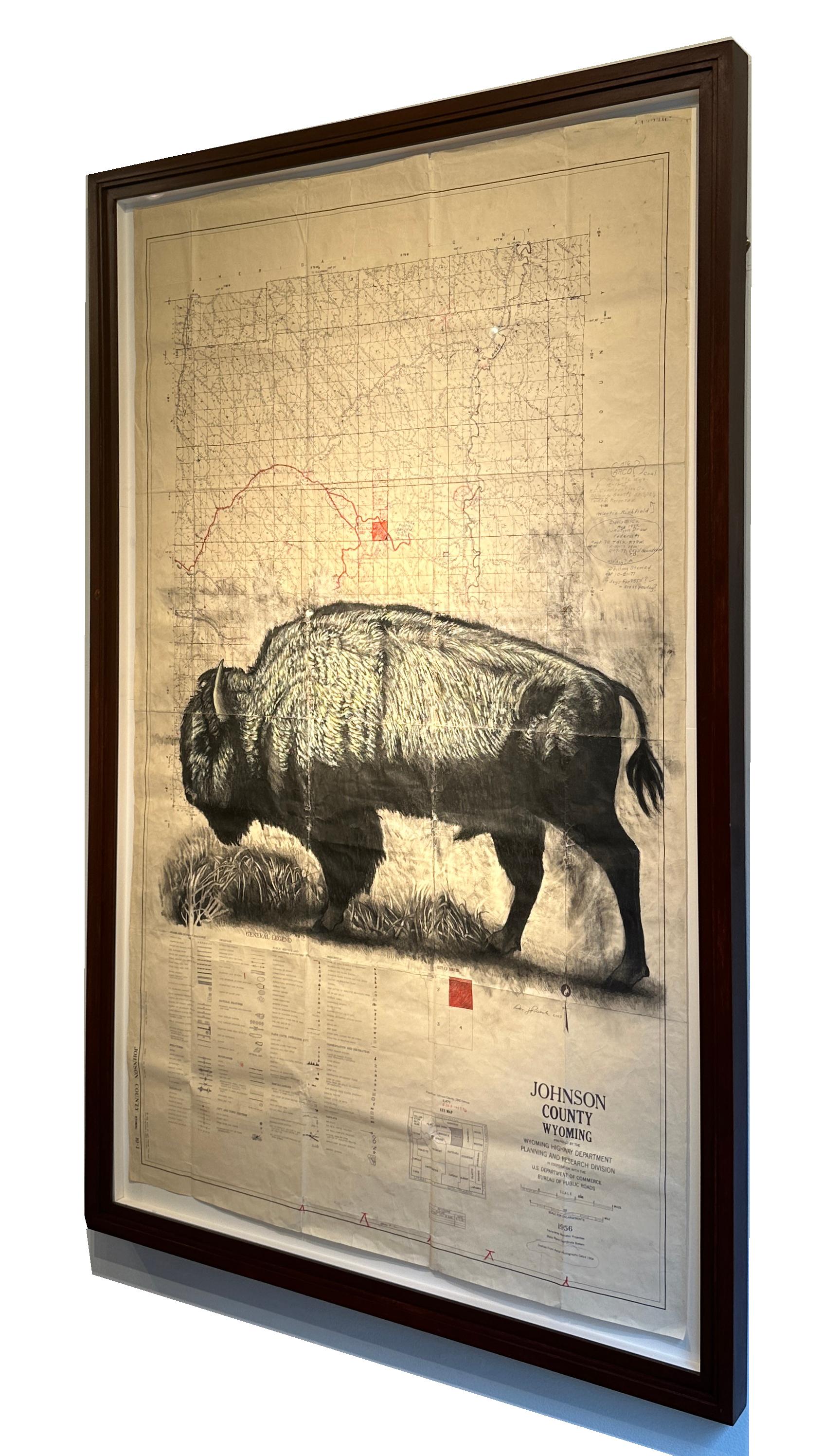 Homestead - Bisonte en grafito sobre dibujos de mapas antiguos 2