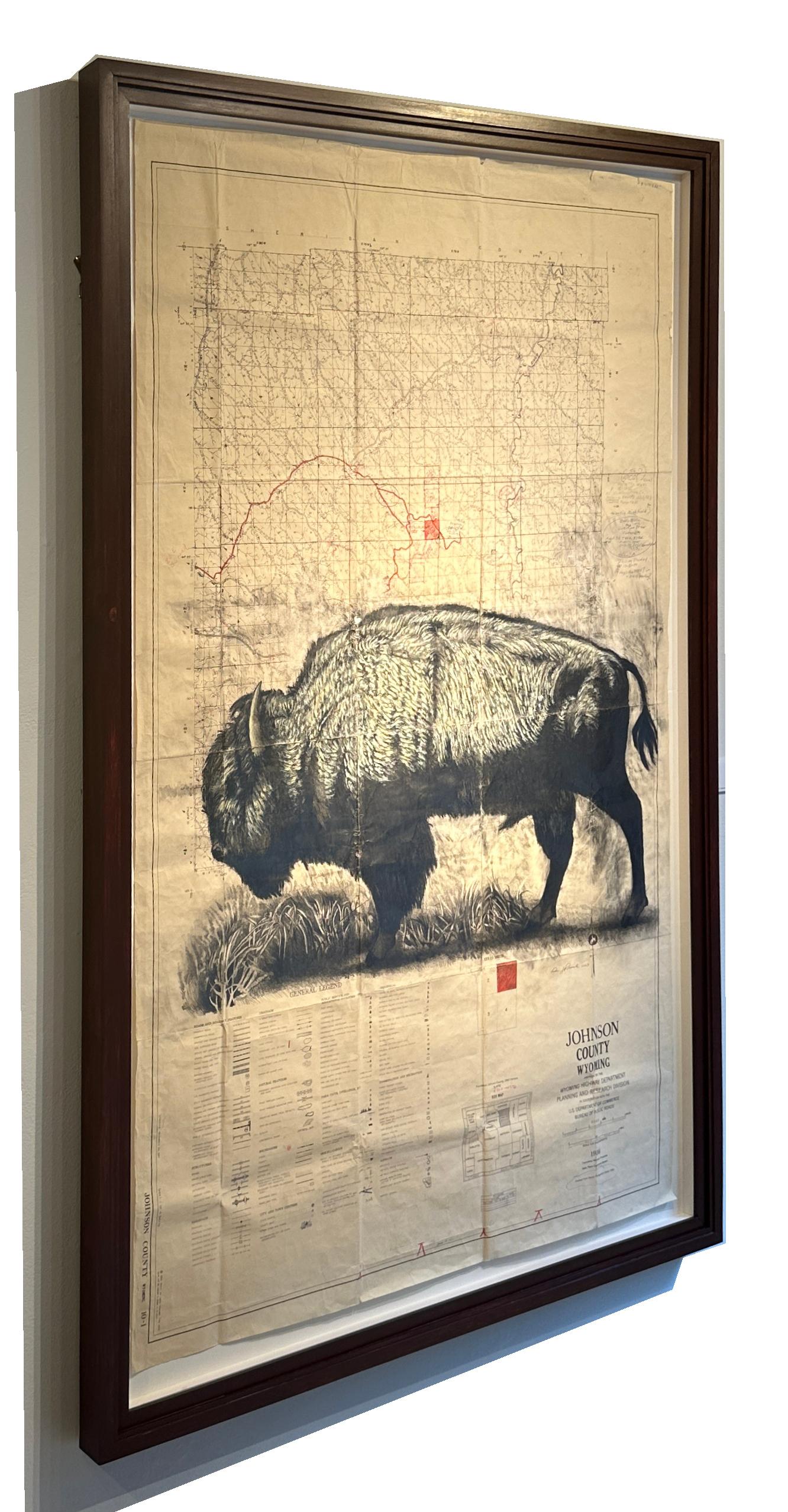 Homestead - Bisonte en grafito sobre dibujos de mapas antiguos 3