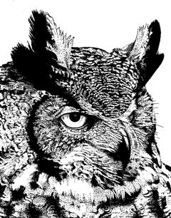Great Horned Owl - Pointelist Bird Portrait, Pen and Ink, Black and White