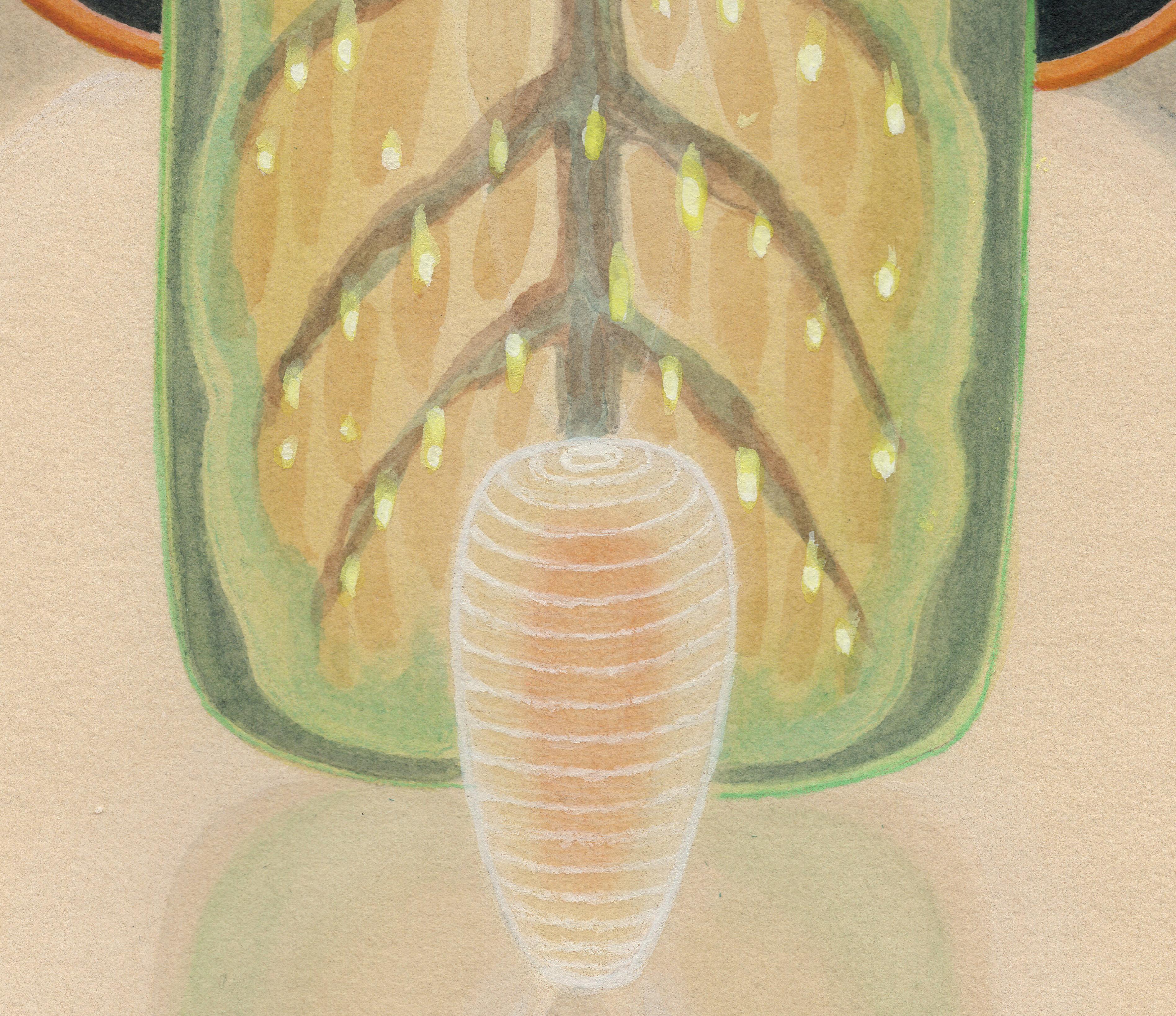 Gentle Winter - Geometric Organic Nature Scene, Watercolor & Gouache, Framed - Contemporary Art by Christina Haglid