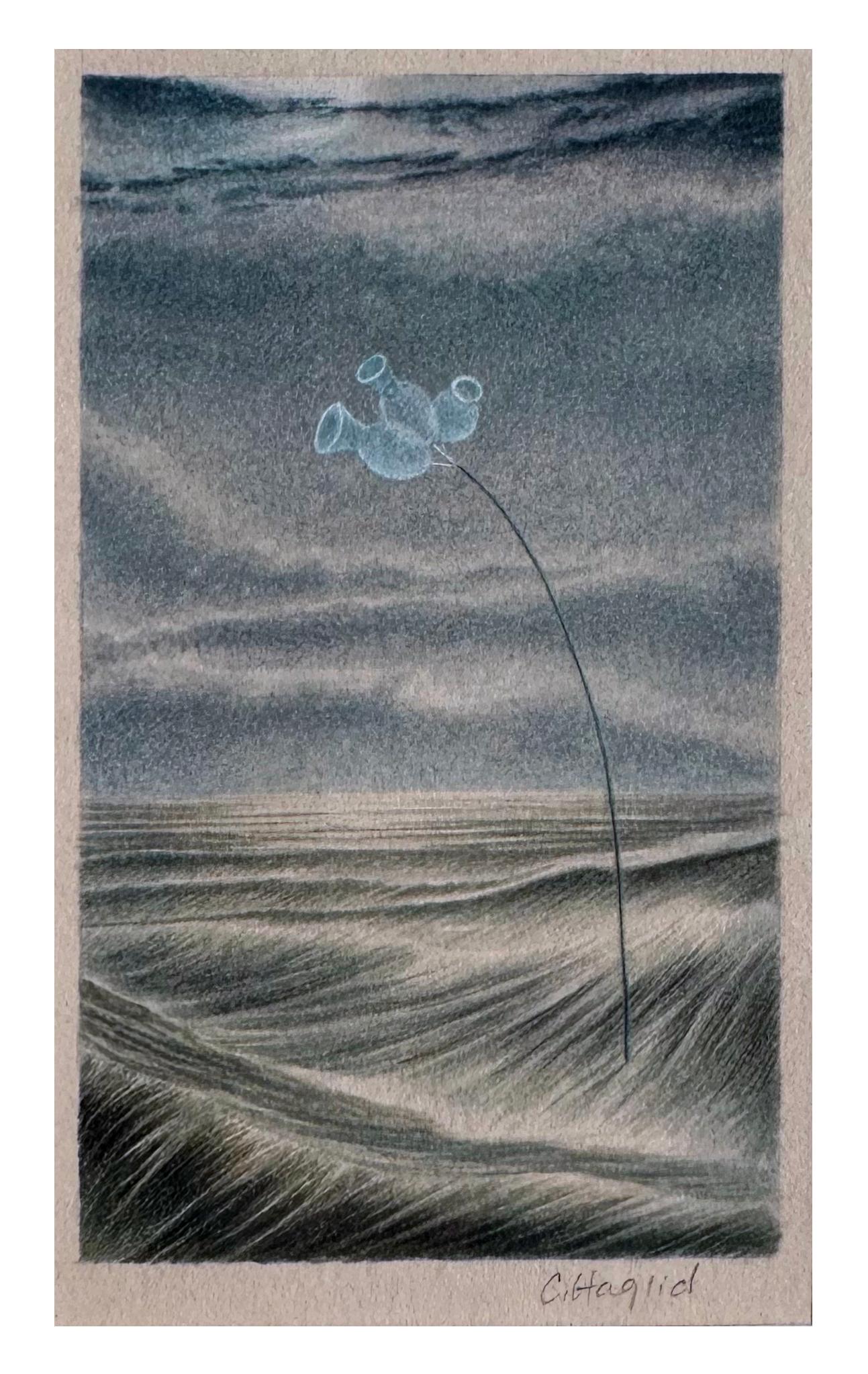 Trio - Aquarelle d'un paysage marin et d'une fleur sur papier d'archives, avec passe-partout et encadrement
