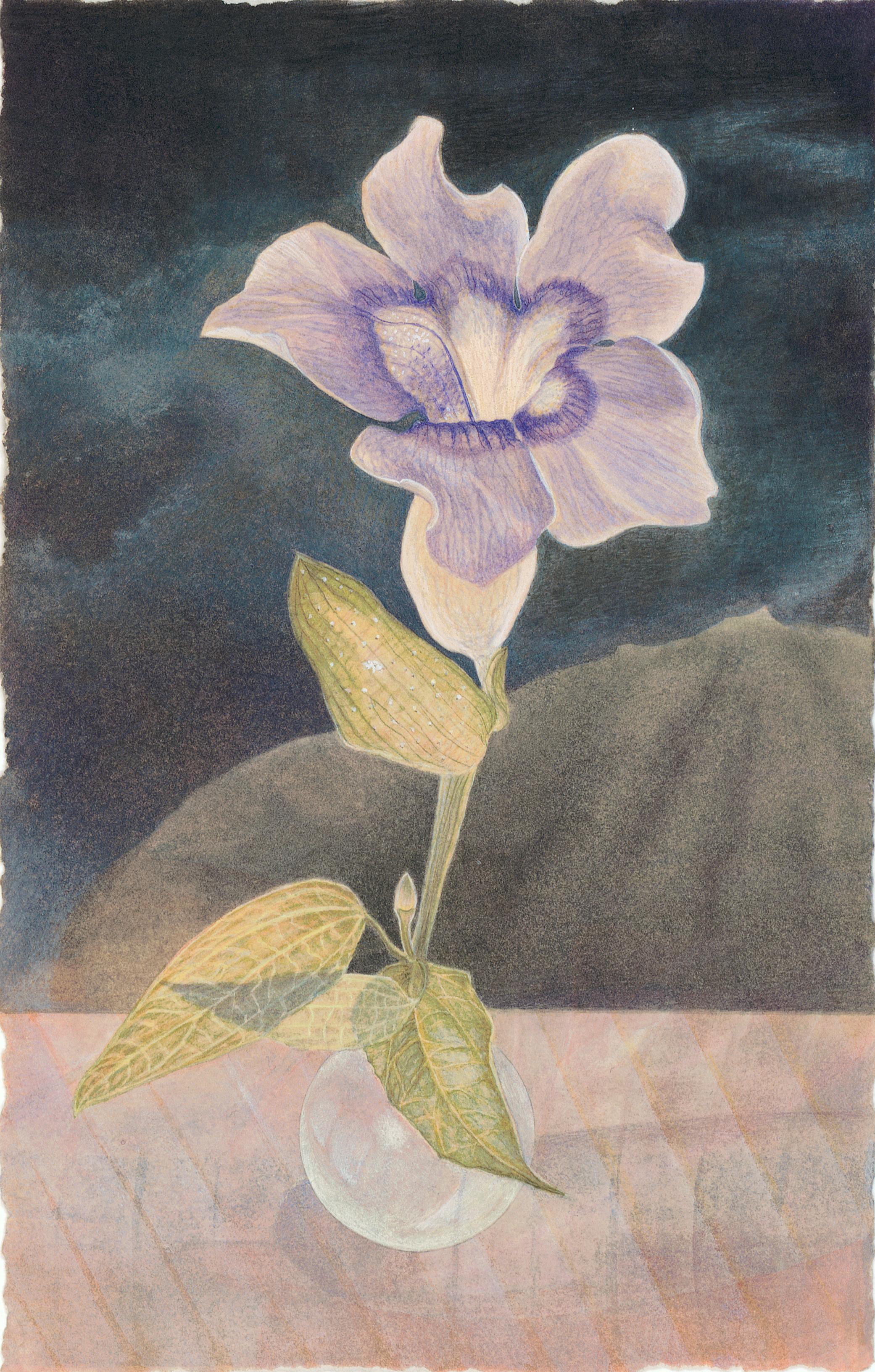 Thunbergia - aquarelle fleur et paysage sur papier - Christina Haglid