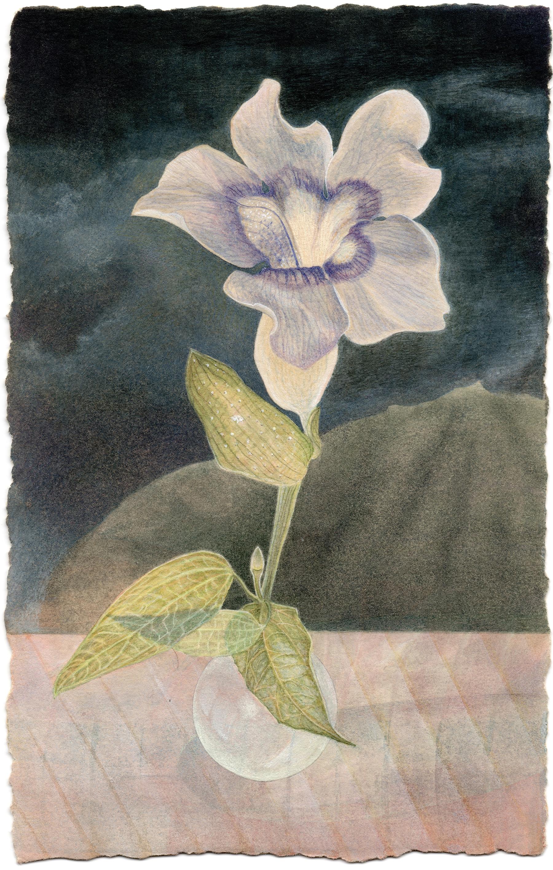 Thunbergia - aquarelle fleur et paysage sur papier - Christina Haglid en vente 5