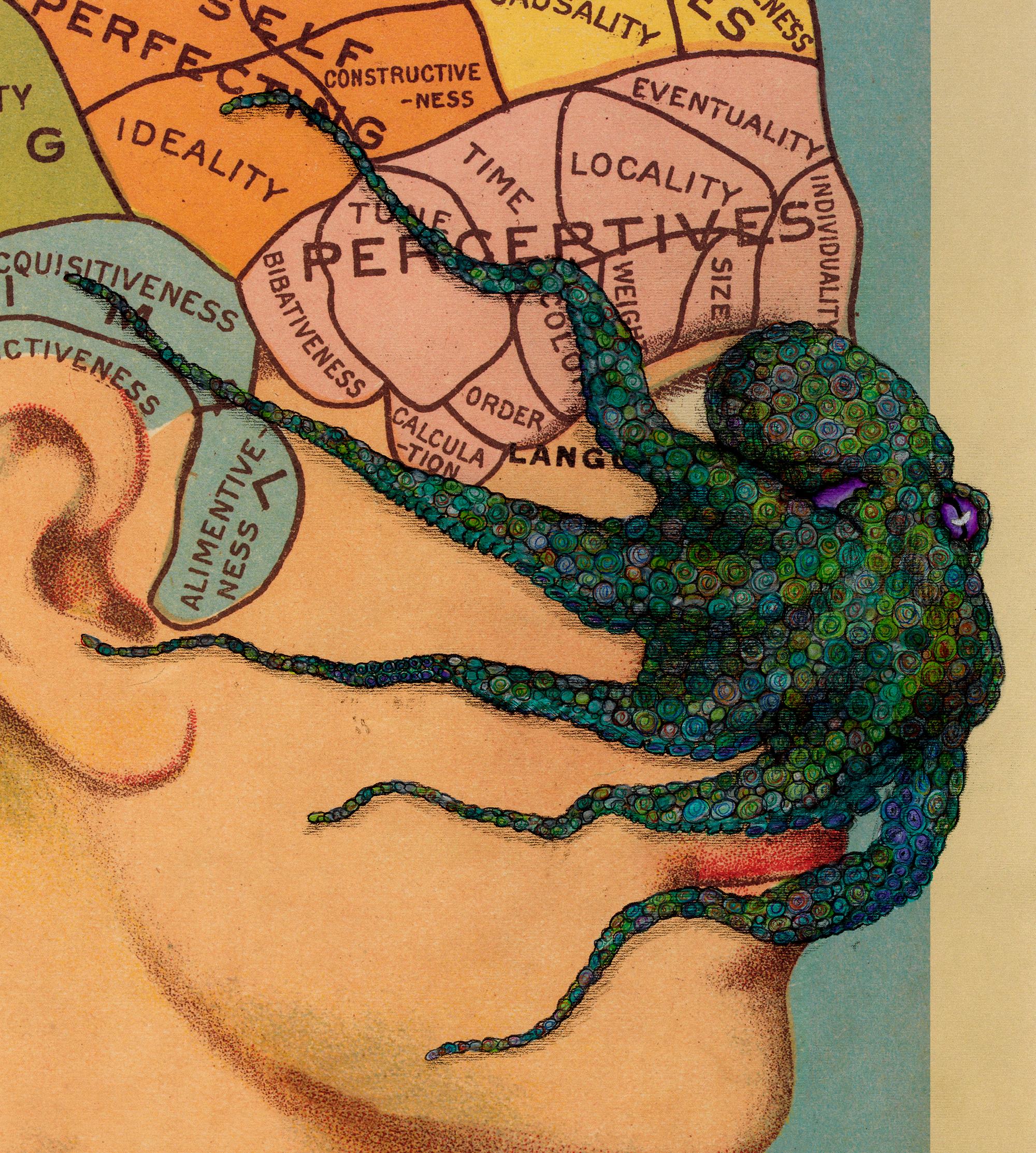 Un piccolo polipo è inchiostrato nello stile giapponese della stampa Gyo-Taku su un diagramma illustrato del cervello umano.  Utilizzando l'inchiostro sumi per 