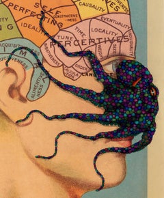 Scritte su tutto il viso: Jabroni - Pittura di polpo con inchiostro Sumi in stile Gyotaku