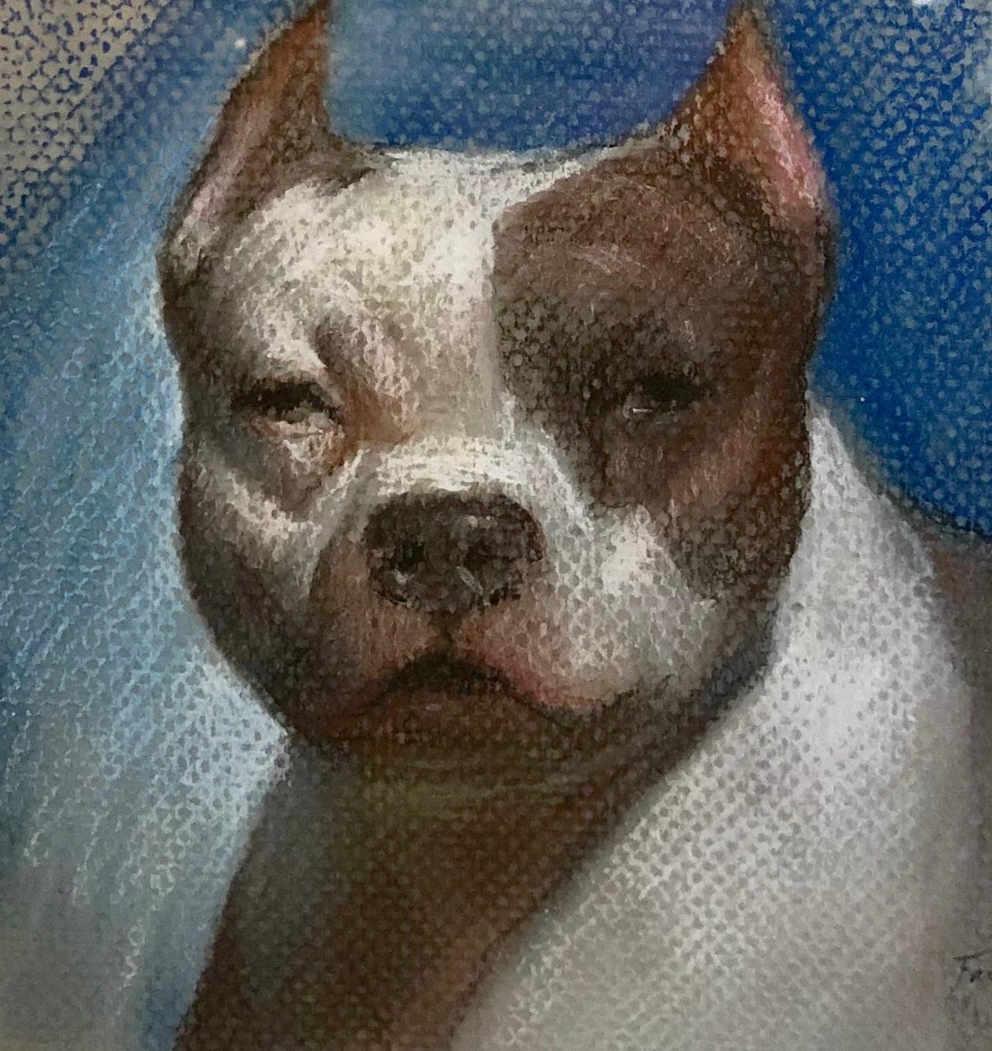 Bulldogge, Zeichnungsstudie einer braunen und weißen Bulldogge, mattiert und gerahmt – Art von Rose Freymuth-Frazier