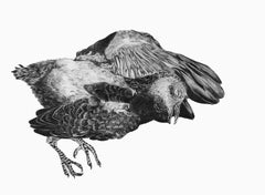 Fallen - Realistic Small Scale Graphite Drawing of Bird