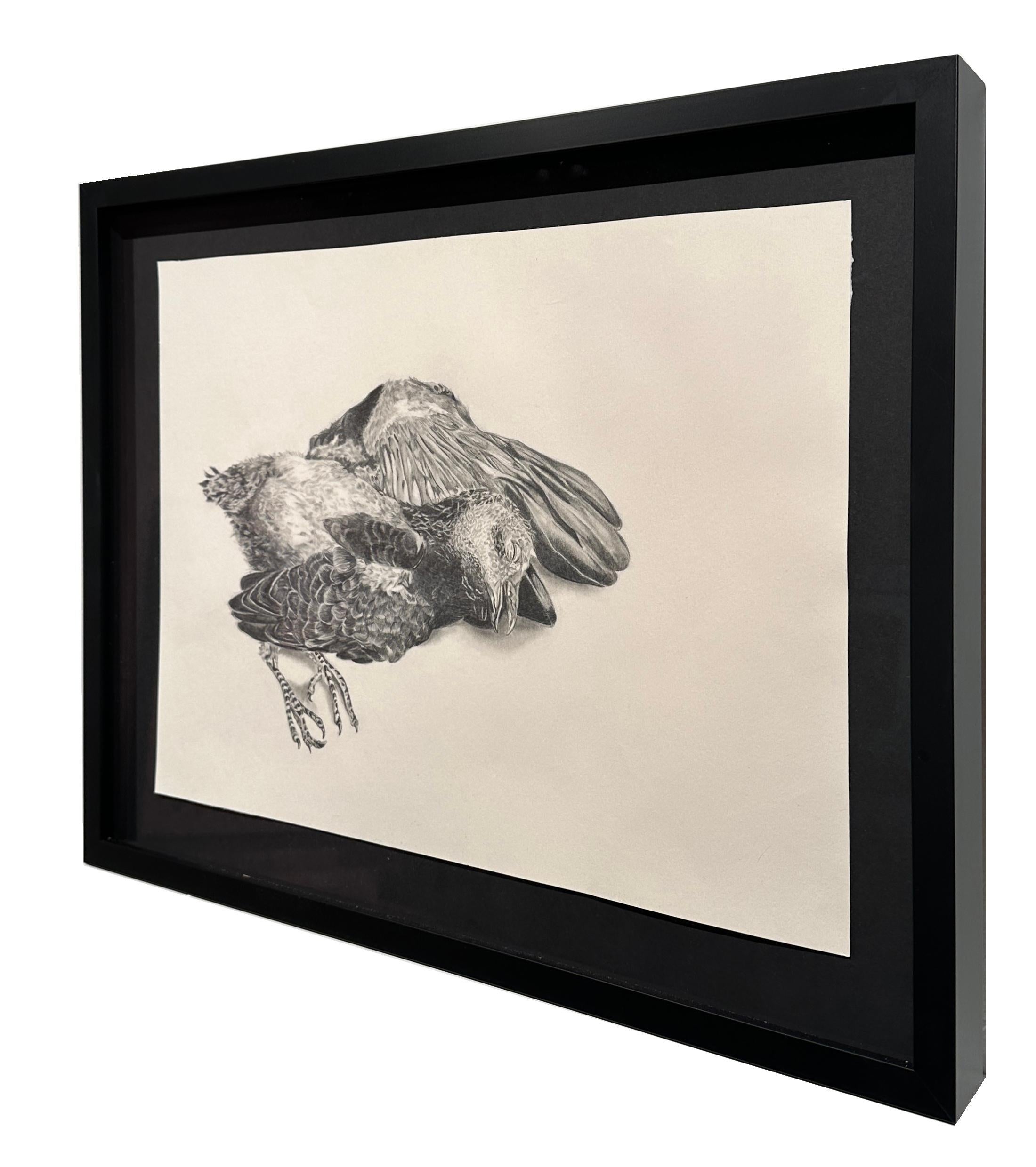 Fallen - Realistic Small Scale Graphite Drawing of Bird - Gray Animal Art by Adrian Barquero