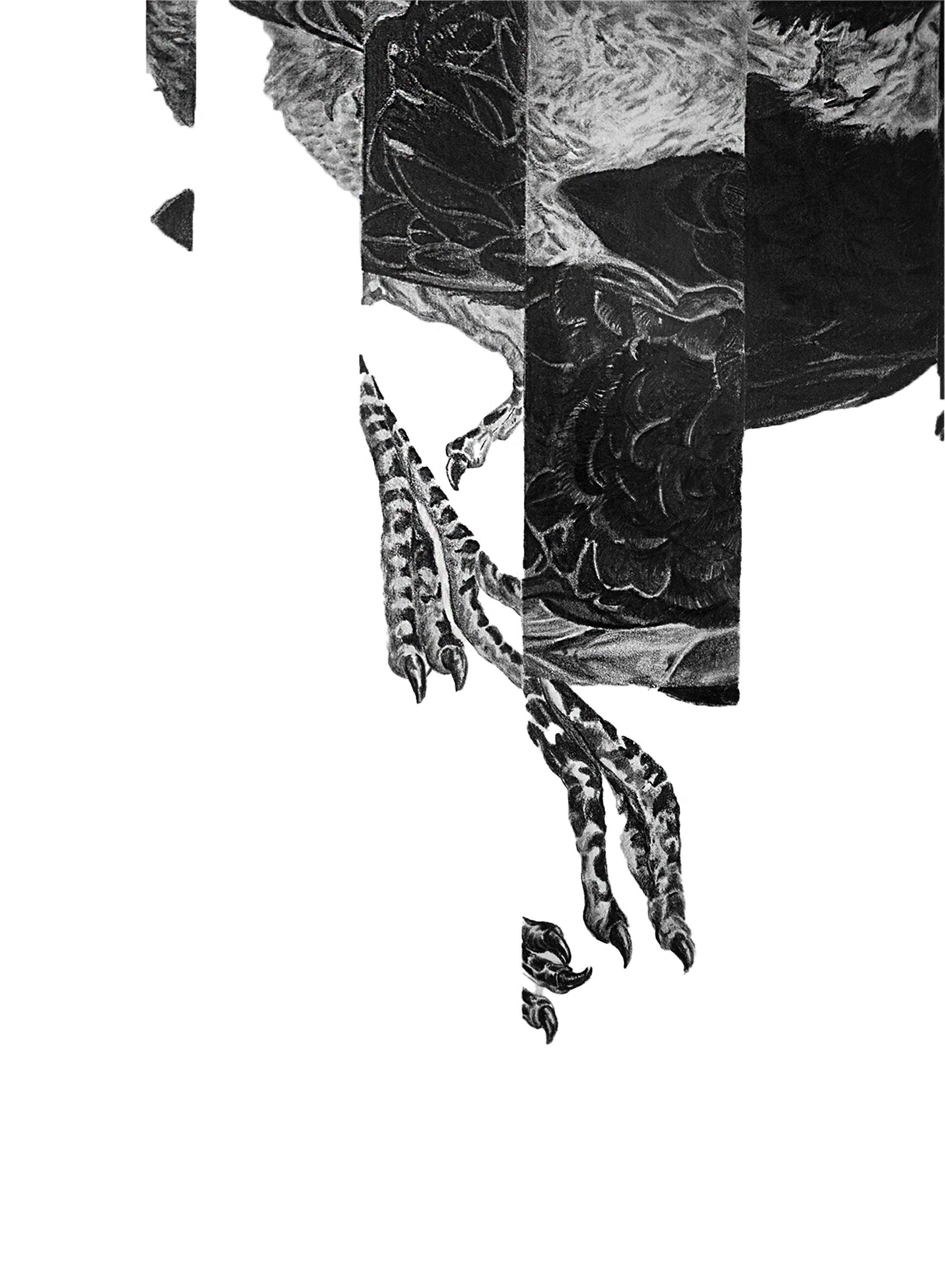 Vanished - Astrazione geometrica / Disegno realistico in grafite di un uccello - Animal Art Nero di Adrian Barquero