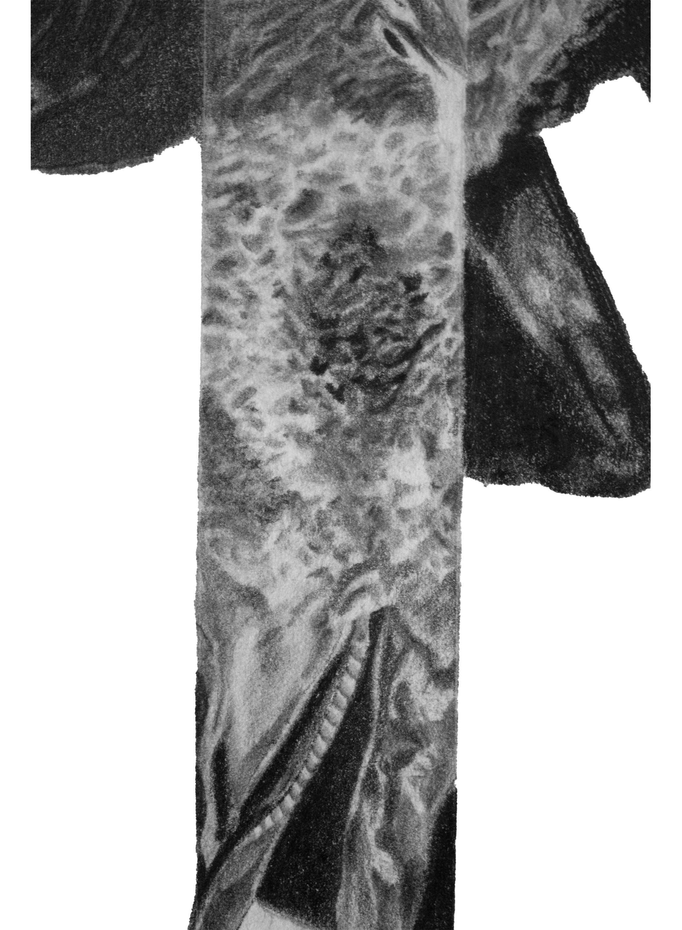 Vanished - Astrazione geometrica / Disegno realistico in grafite di un uccello - Art Astrattismo geometrico di Adrian Barquero