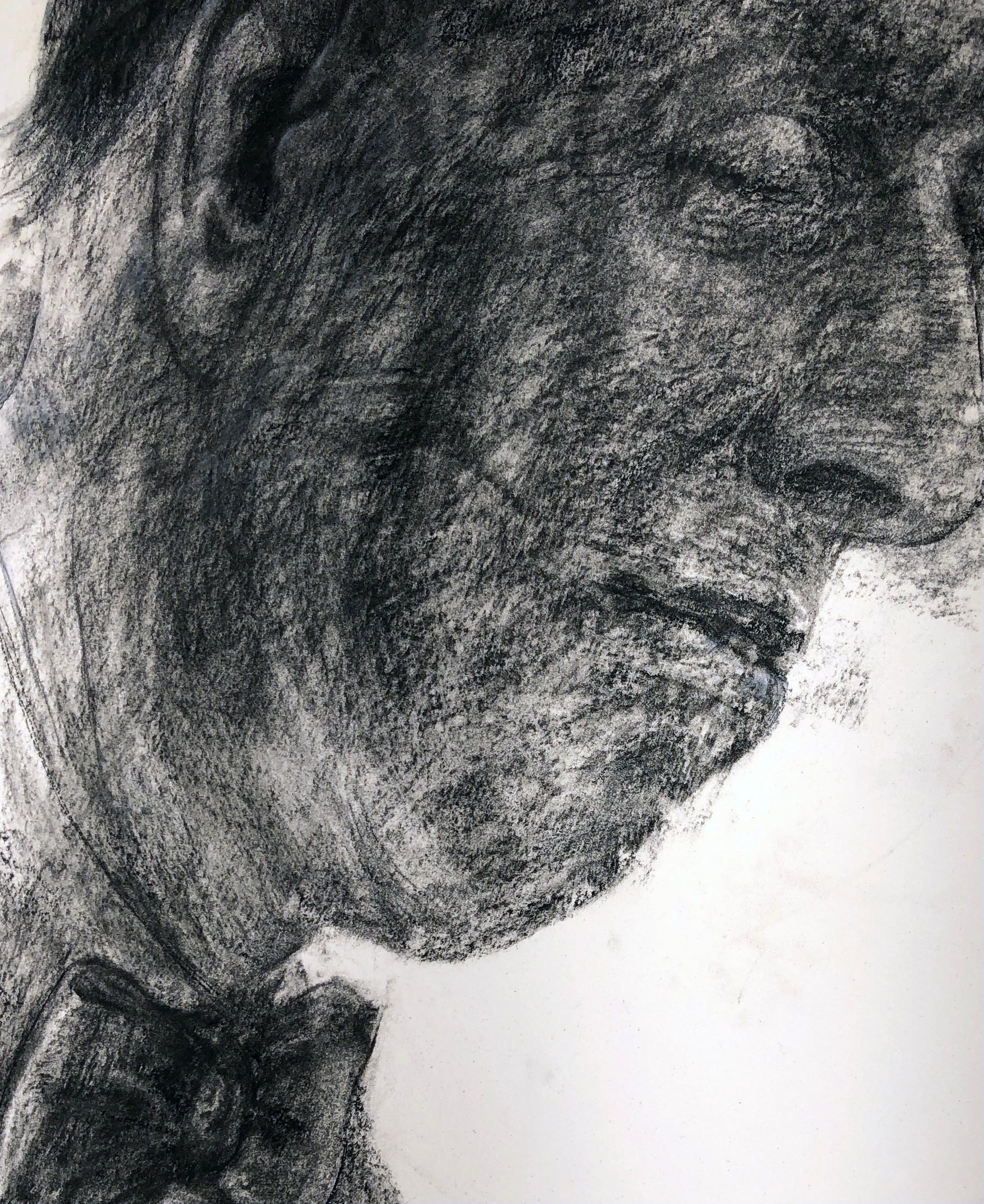 Reflection #1, Charcoal Drawing of a Man Gazing Down, Wearing a Bow Tie - Contemporary Art by David Becker
