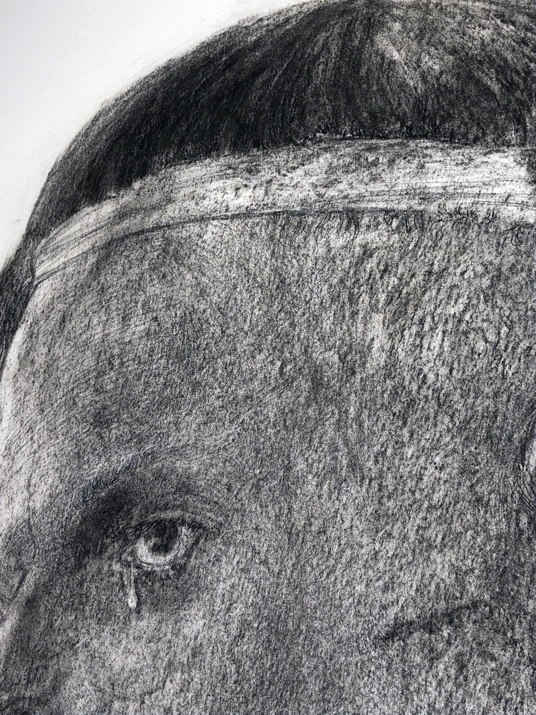 Human facial expressions help convey our stories from one person to another.  However, David Becker presents this charcoal drawing with a flair for confusion.  Throughout his career, Becker's work has been called allegorical, apocalyptic,