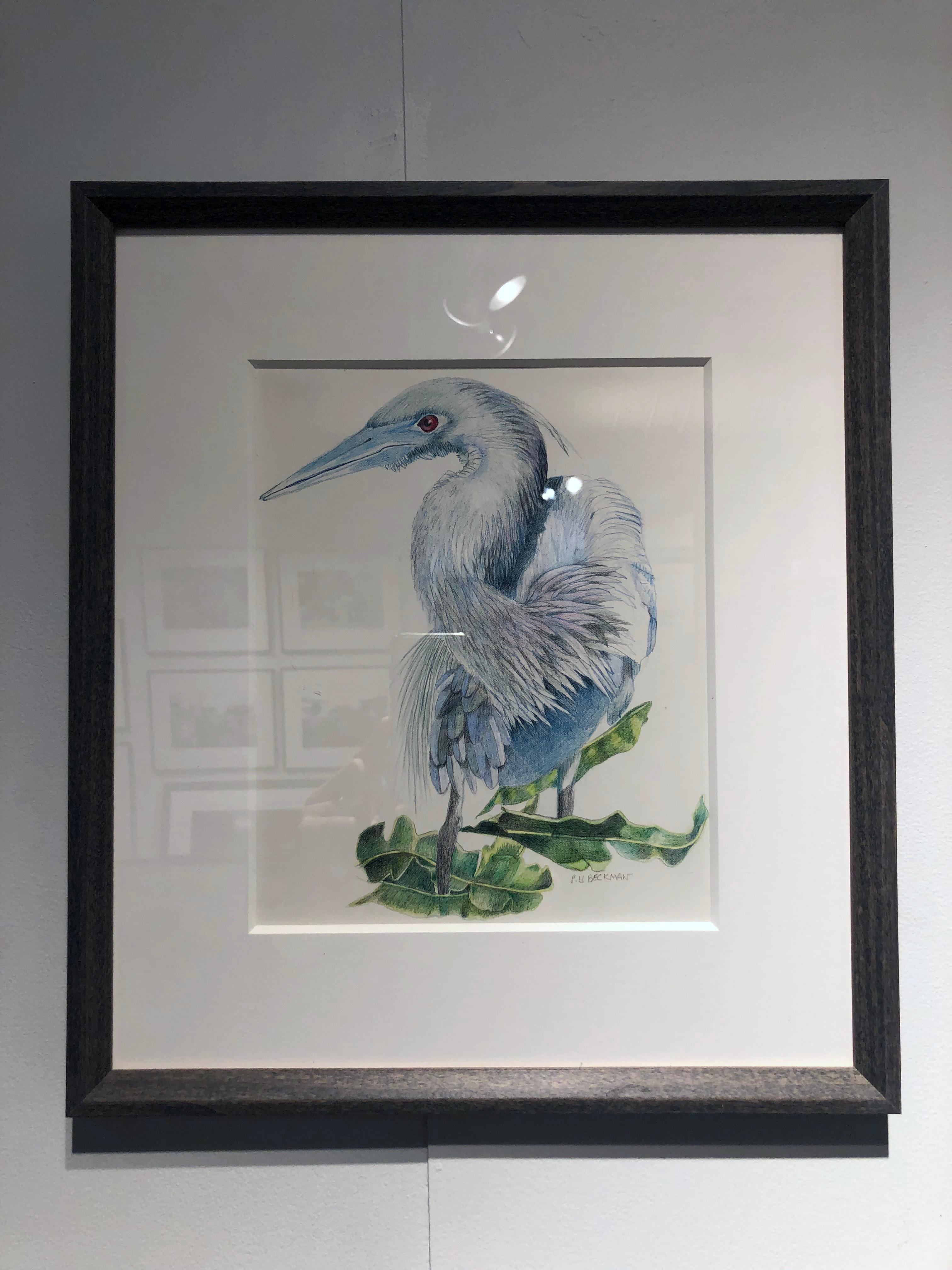 Blue Heron II - Art by Sylvia Beckman