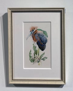 Herony III - color pencil drawing of newly hatched Heron