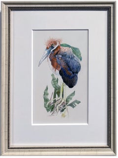 Herony III - Color Pencil Drawing of Newly Hatched Heron, Matted & Framed