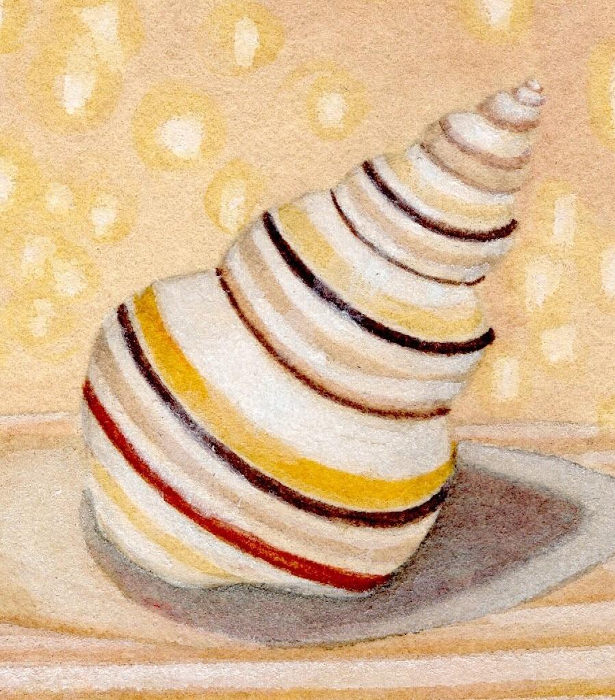 Candy Stripe - Original Painting of a Tiny Red and Yellow Striped Sea Shell - Art by Christina Haglid