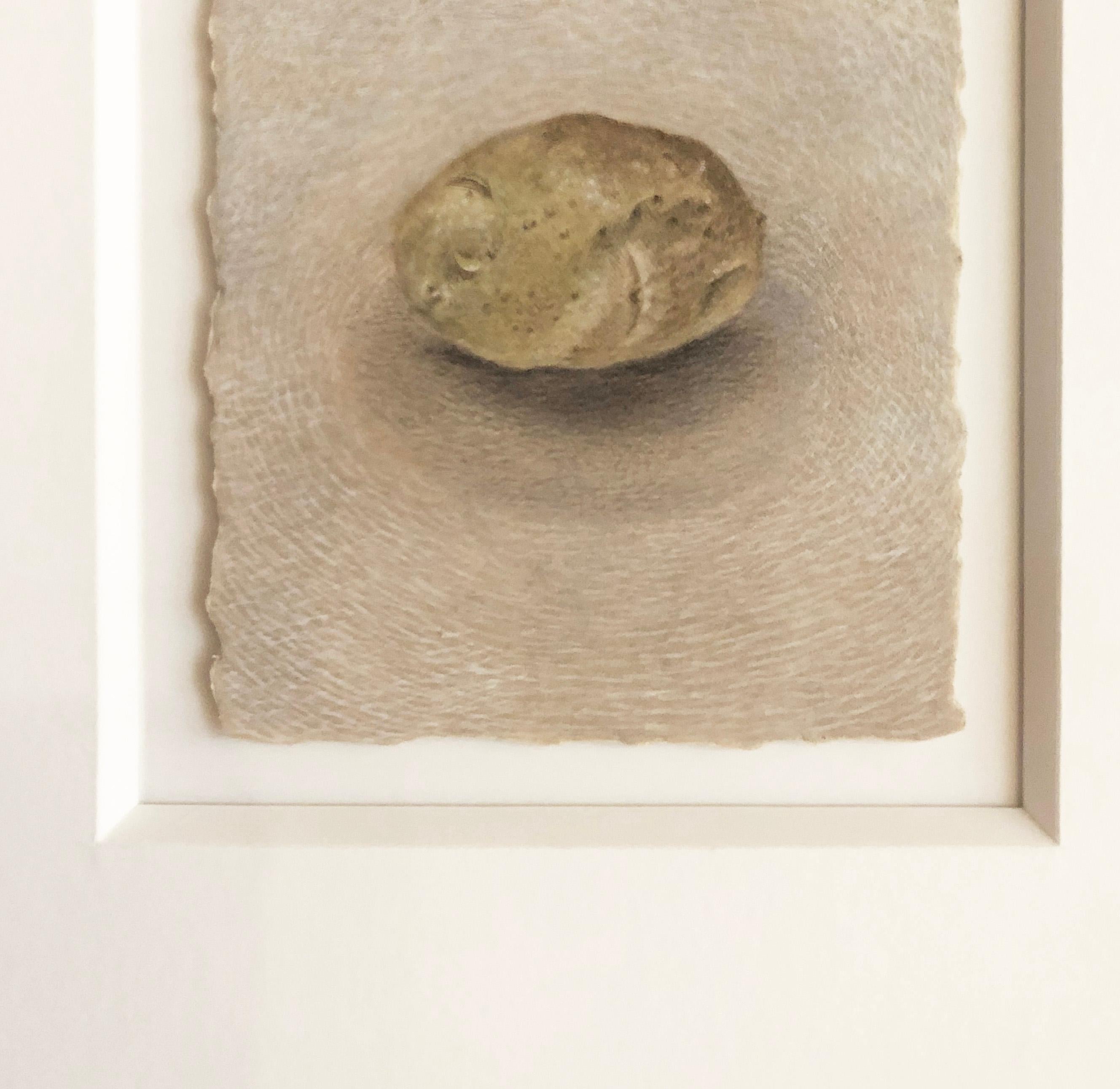 One Potato - Zinnfarbenes Original-Stillleben eines Kartoffels auf Papier mit Deckrand – Art von Christina Haglid