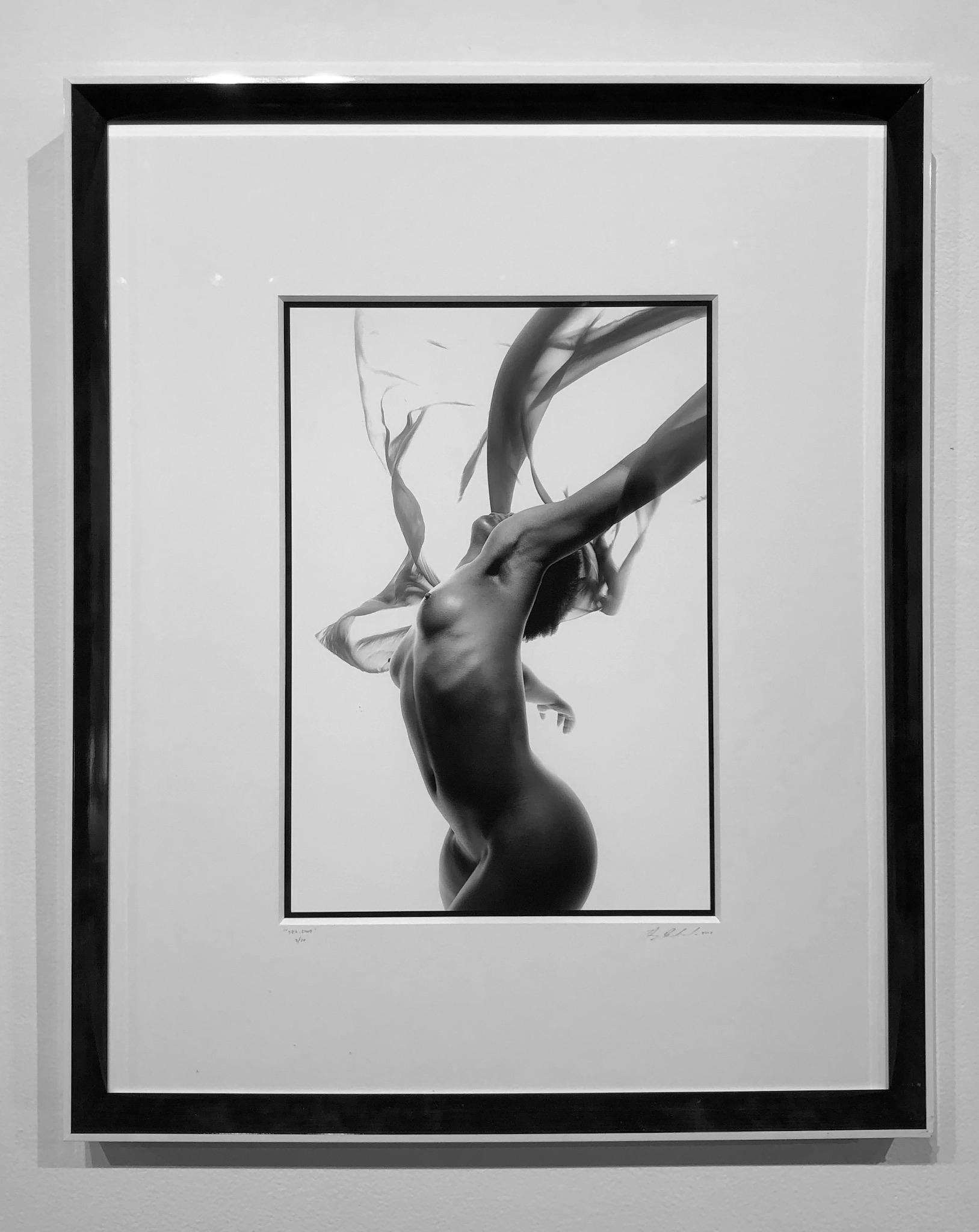 SJ1, Nude Female with Flowing Sheer Veil, Black and White Photo, Matted, Framed - Photograph by Doug Birkenheuer