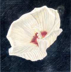 Rose of Sharon with Meteor Shower - Small Scale Original Botanical Painting