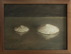 Sea Snail Fossils - Sea Shell Still Life on Two Toned Olive Colored Background