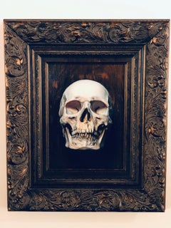 Vanitas - Original Oil Painting of a Human Skull in 17th Century Dutch Style