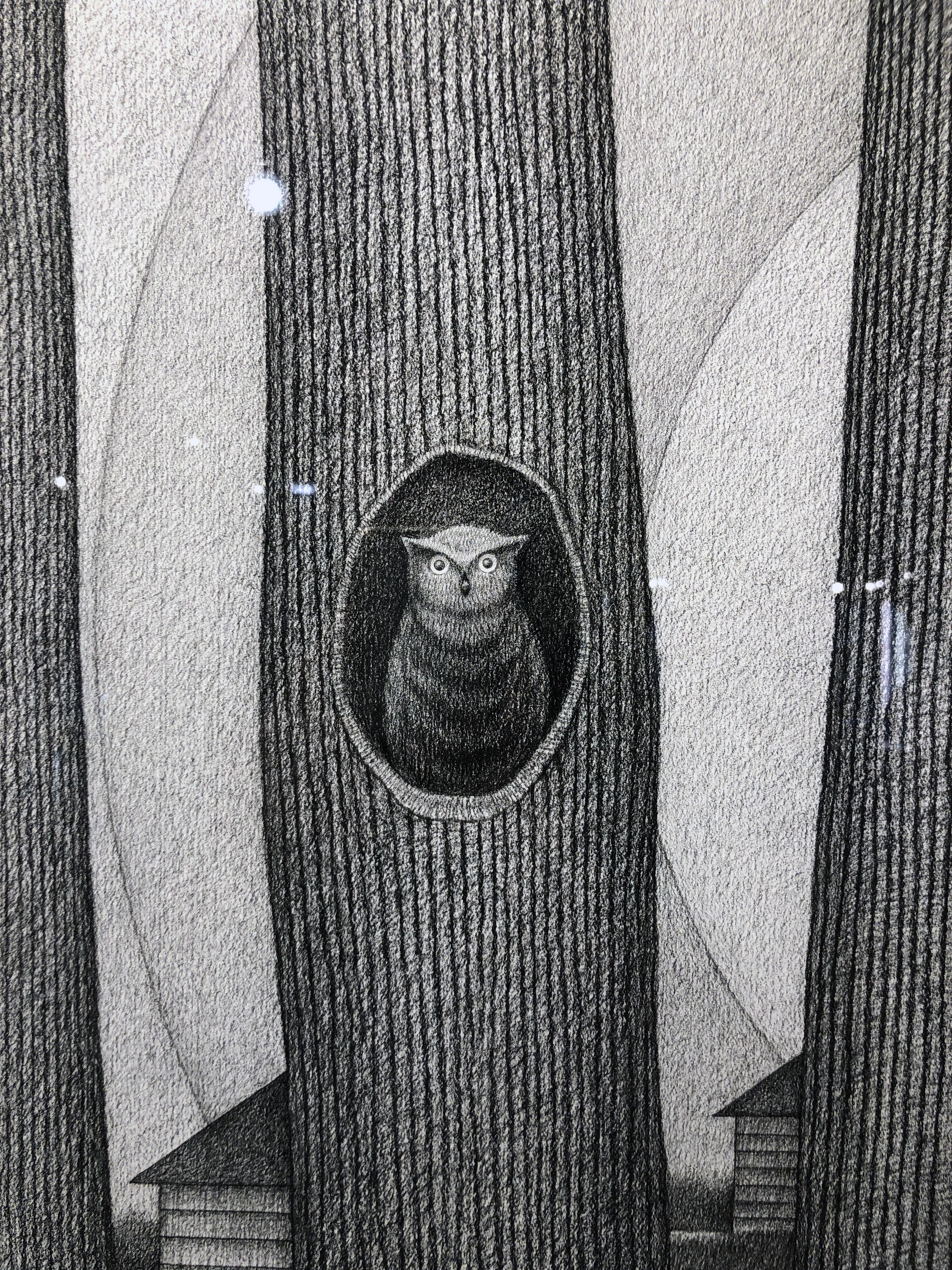 Rising I, Surrealist Landscape w/ Row of Trees & Owl, Graphite on Archival Paper - Gray Landscape Painting by John Hrehov