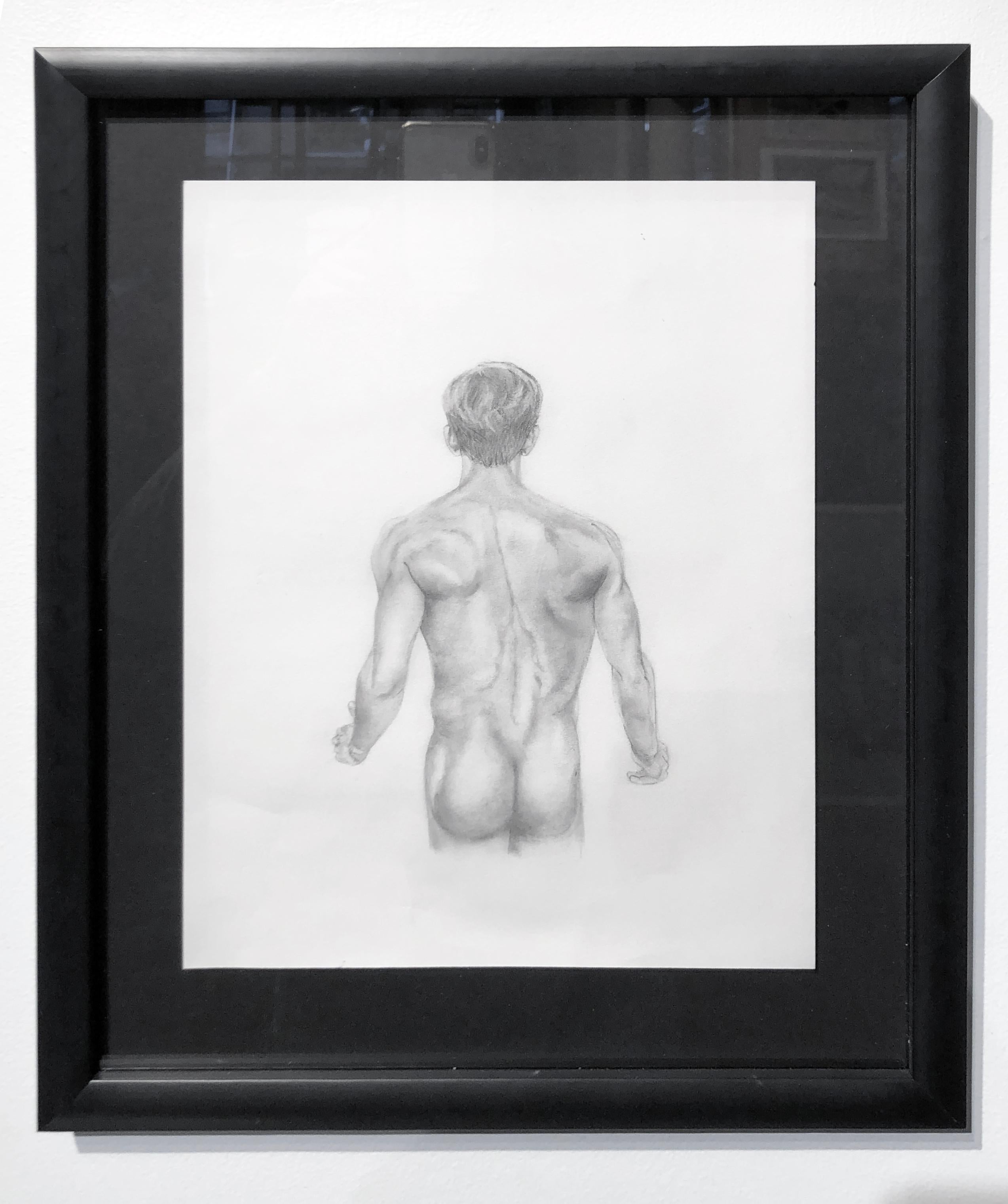 muscular torso drawing