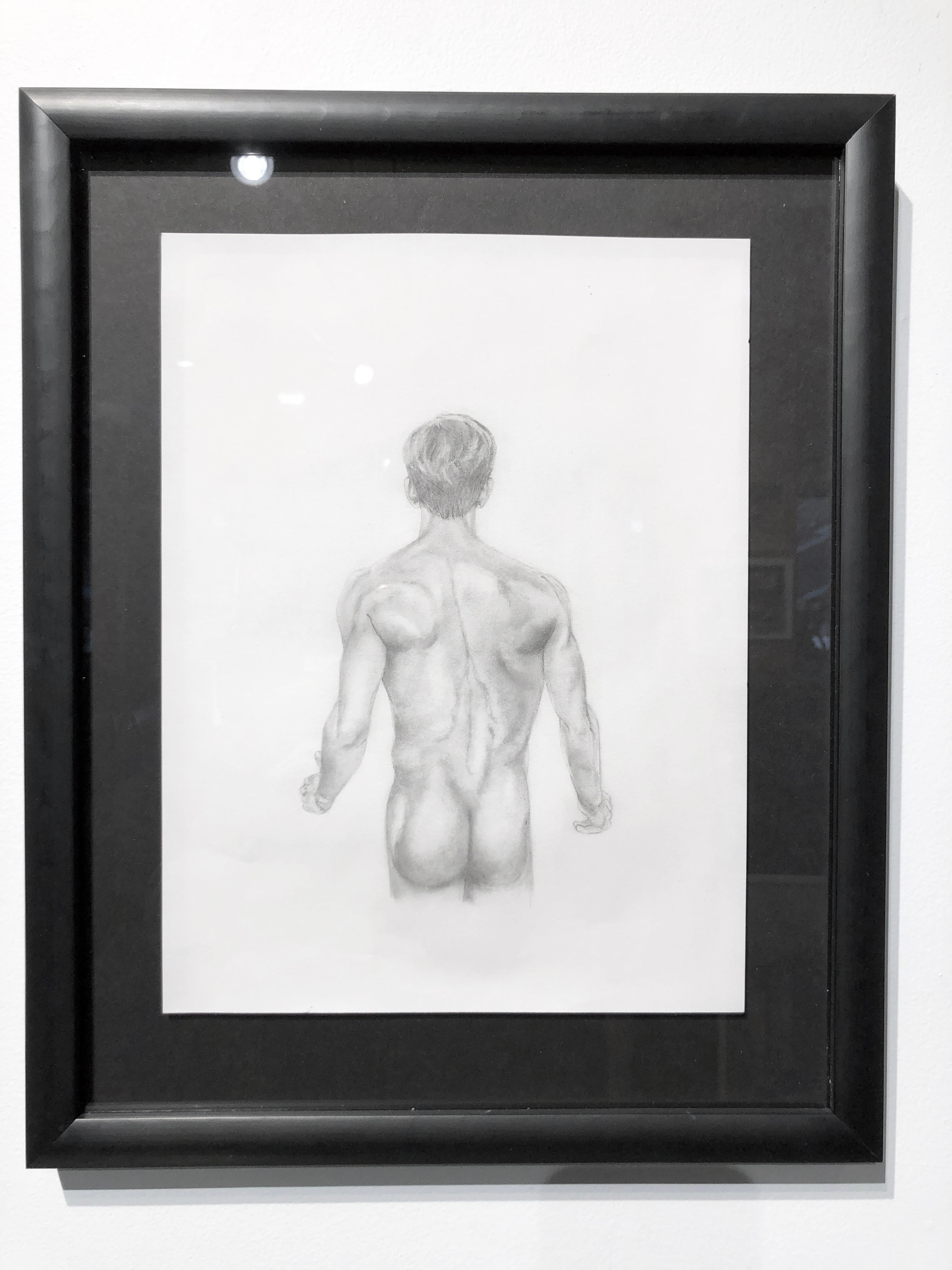 torso muscles drawing