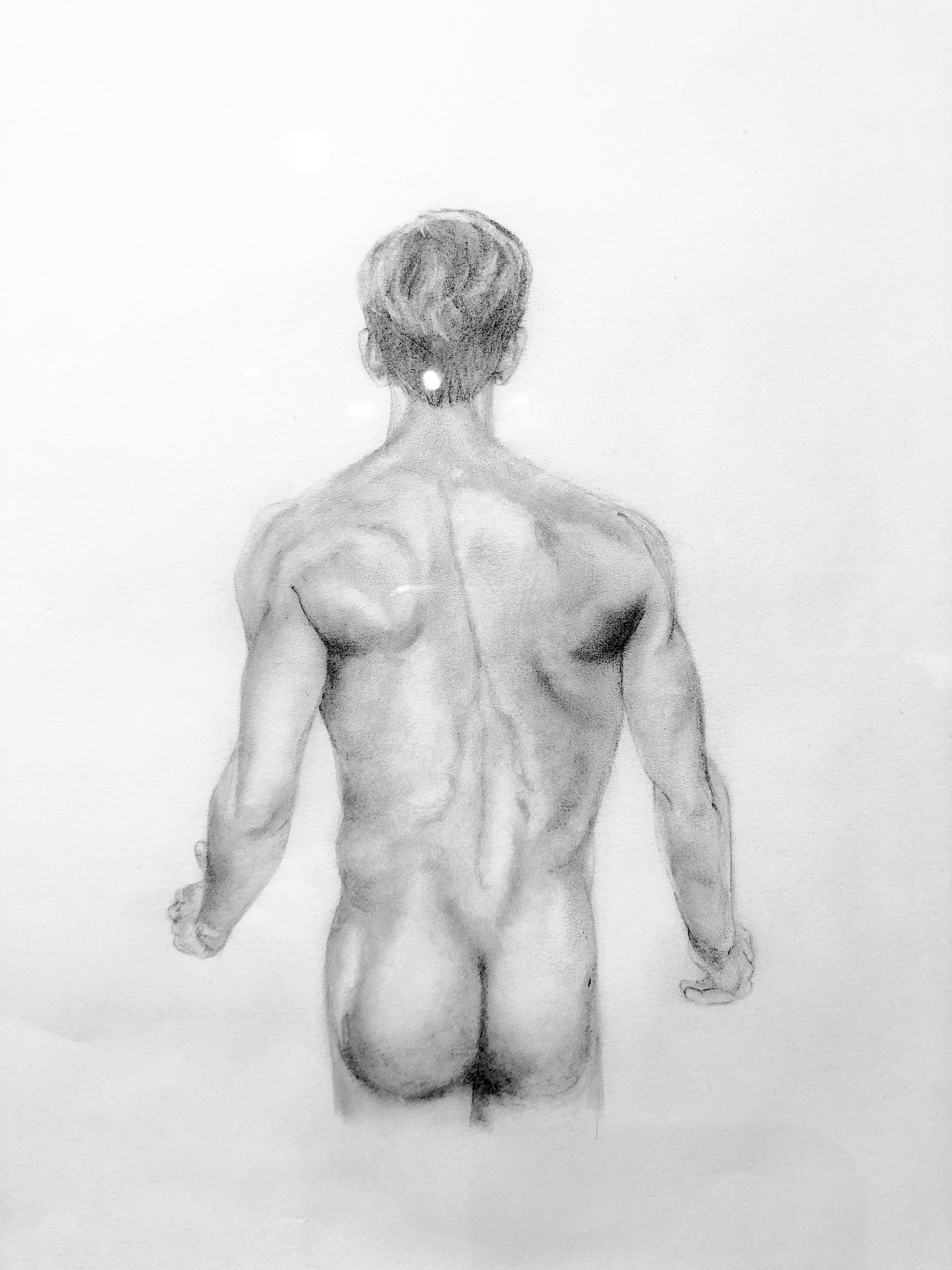 The Body is a Vessel - Muscular Male Nude Torso, Graphite Drawing on Paper - Art by Rick Sindt