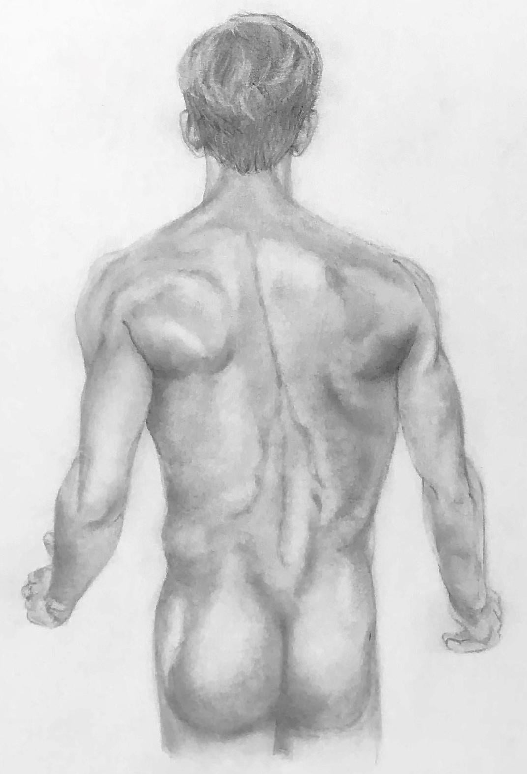 how to draw a muscular male body