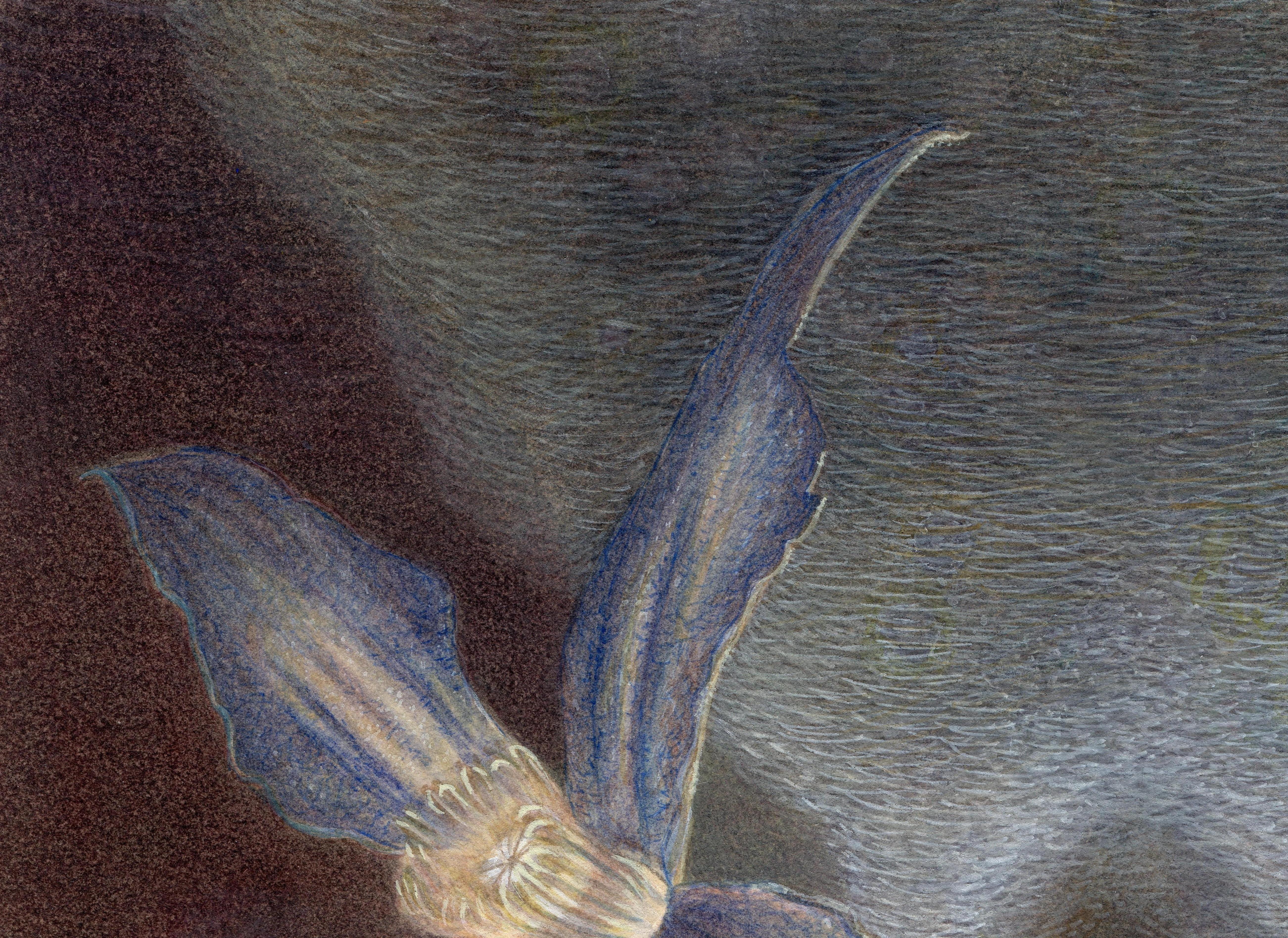  Janus, botanisches Aquarell und Gouache auf Papier, 2 Knospenvasen mit lila Blumen, Janus (Zeitgenössisch), Art, von Christina Haglid