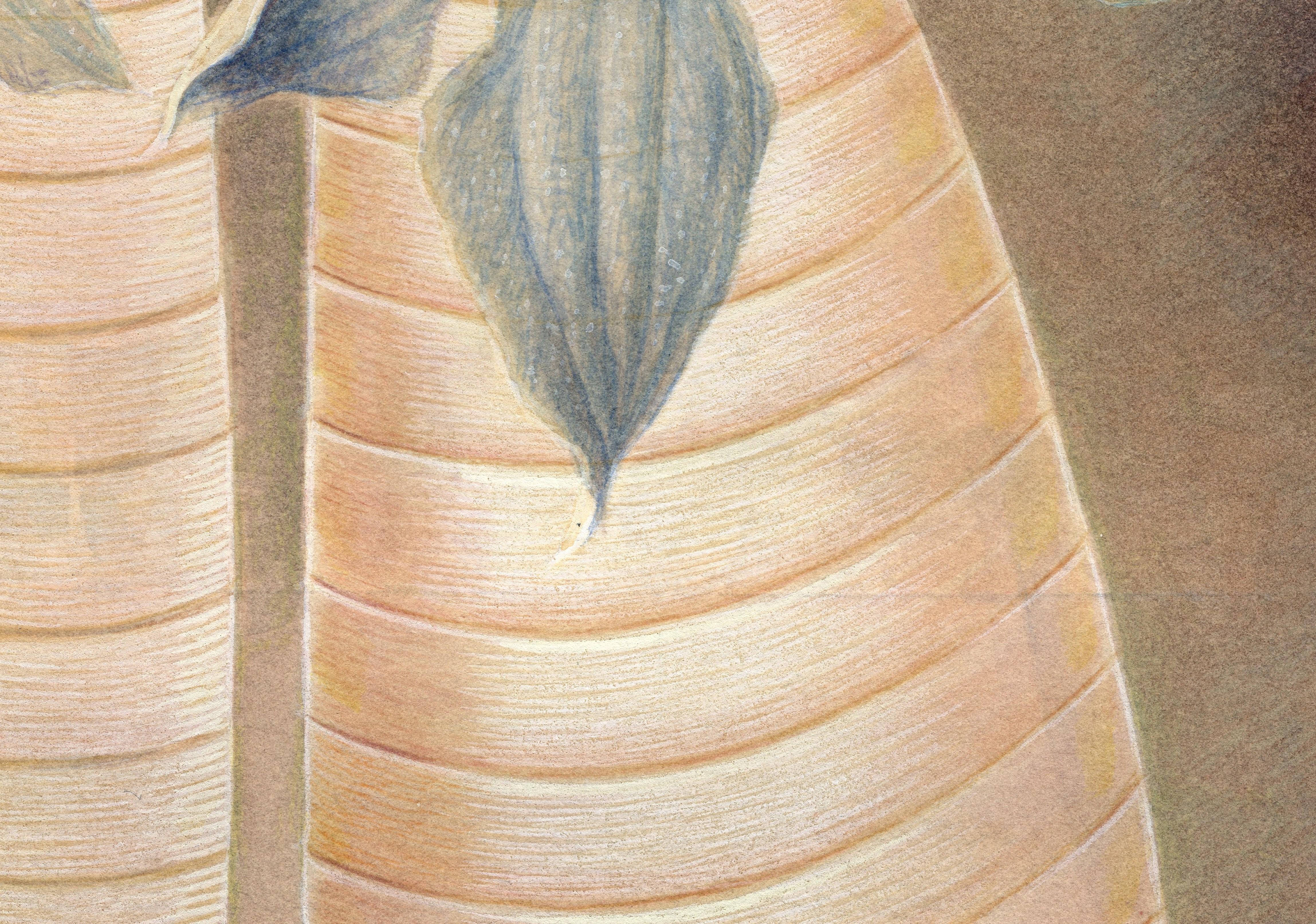  Janus, botanisches Aquarell und Gouache auf Papier, 2 Knospenvasen mit lila Blumen, Janus (Braun), Still-Life, von Christina Haglid