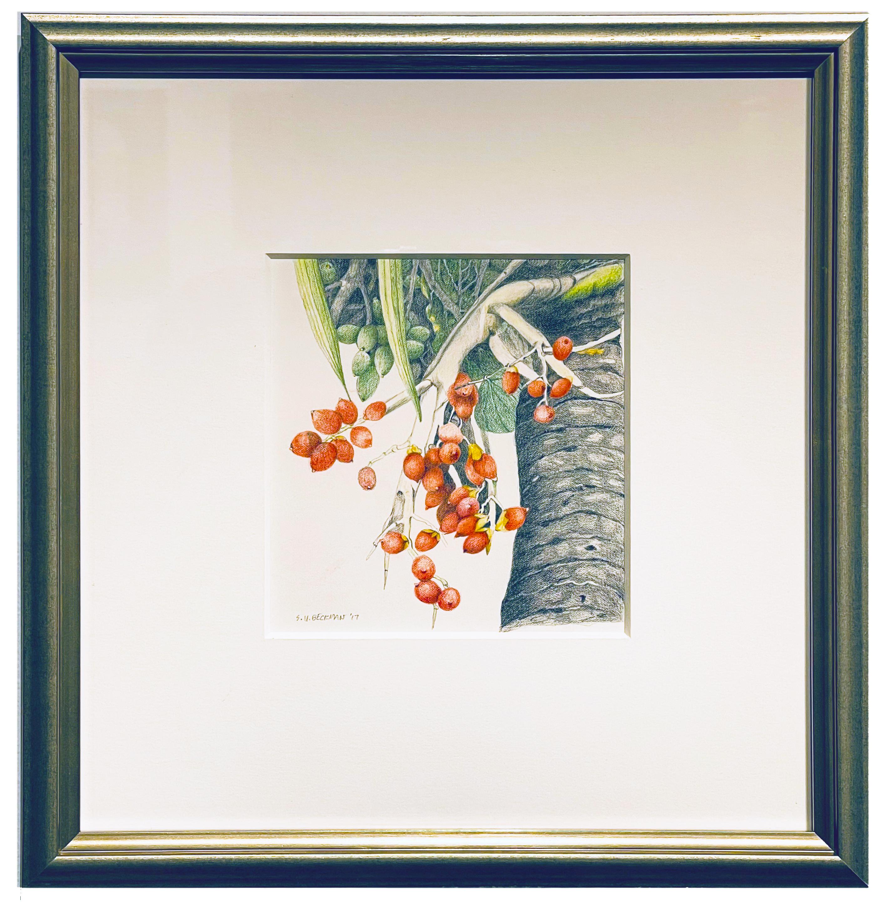 Christmas Palm, Botanische Zeichnung, farbiger Bleistift auf Papier, gerahmt in Silber