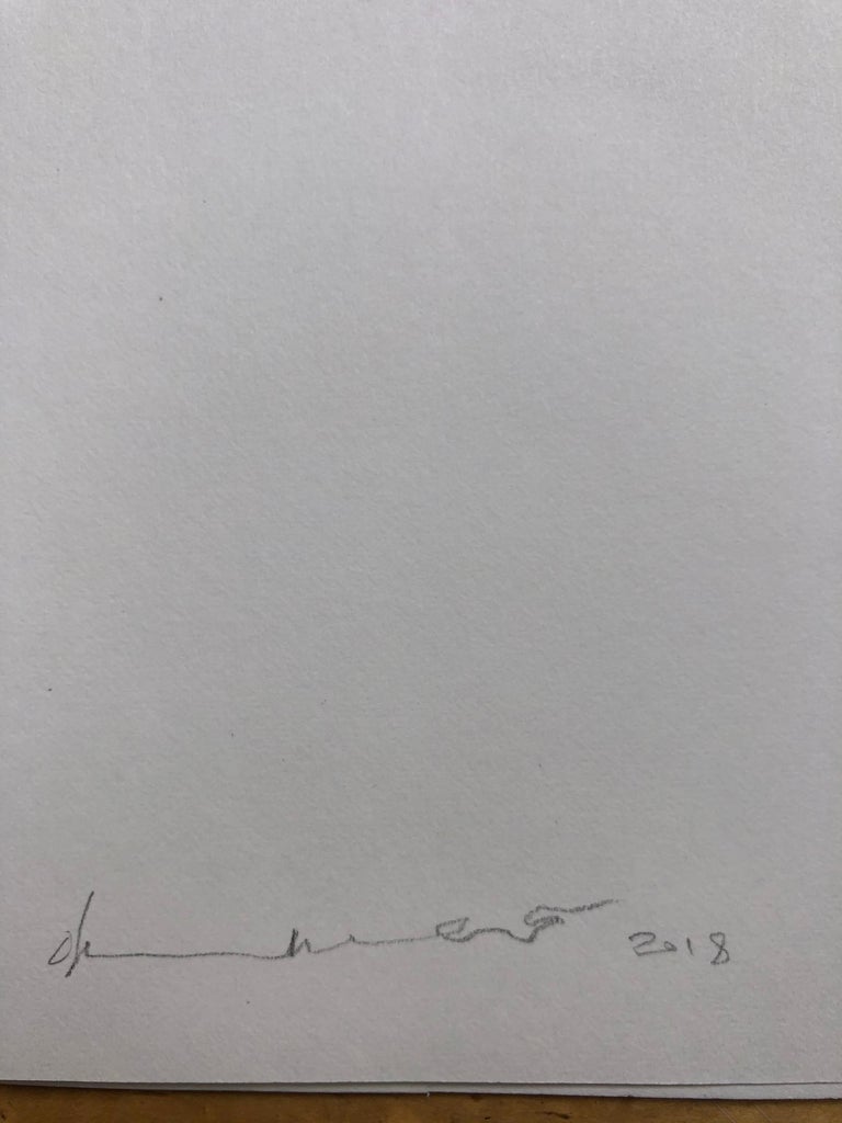 Oliver Hazard Two Reclining Nudes Females Highly Detailed Pencil oliver-hazard-two-reclining-nudes-females-highly-detailed-pencil