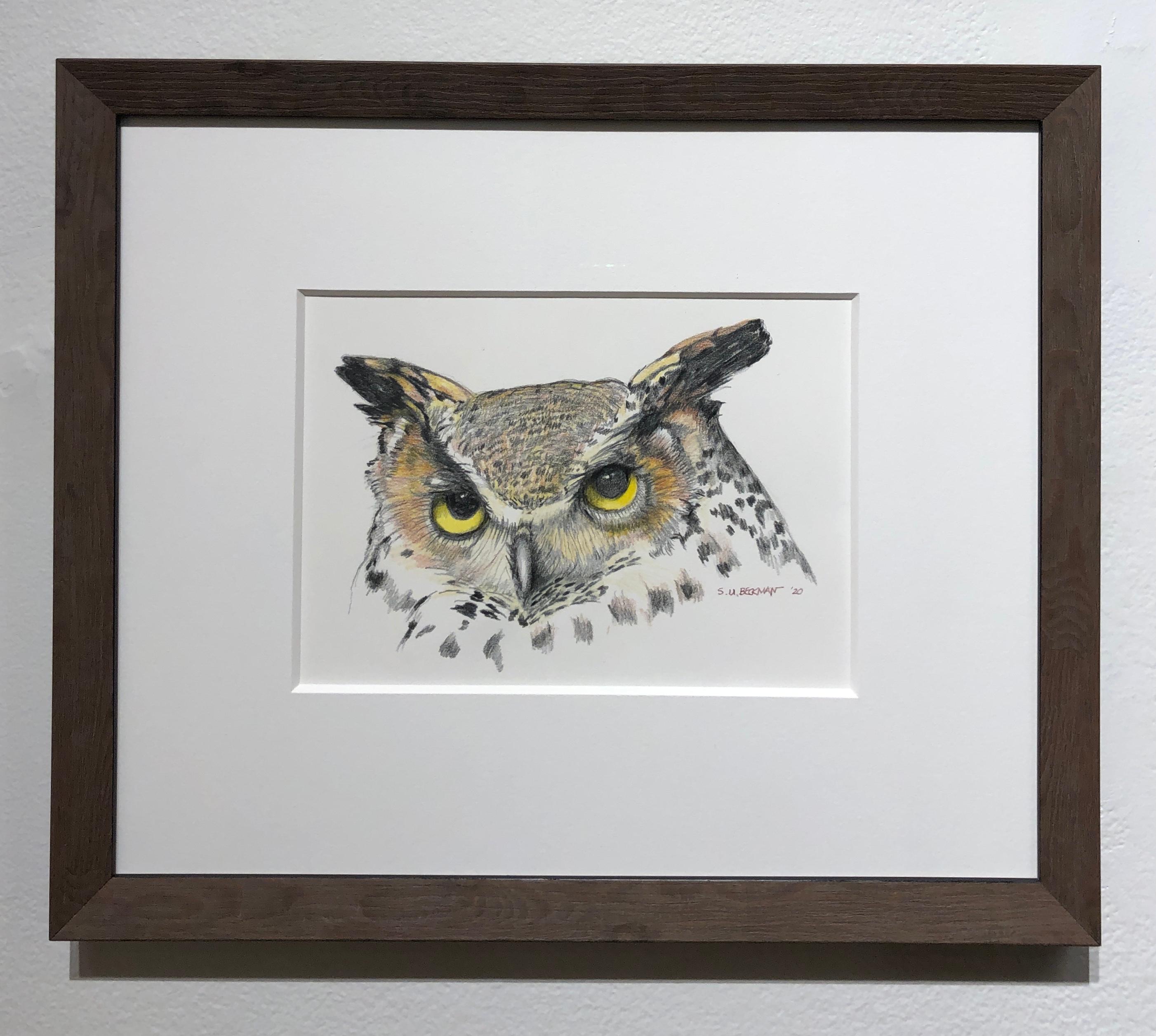 Eule - Buntstiftzeichnung einer Great Horned Owl, gerahmt – Art von Sylvia Beckman