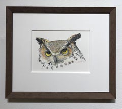Owl - Colored Pencil Drawing of a Great Horned Owl, Framed