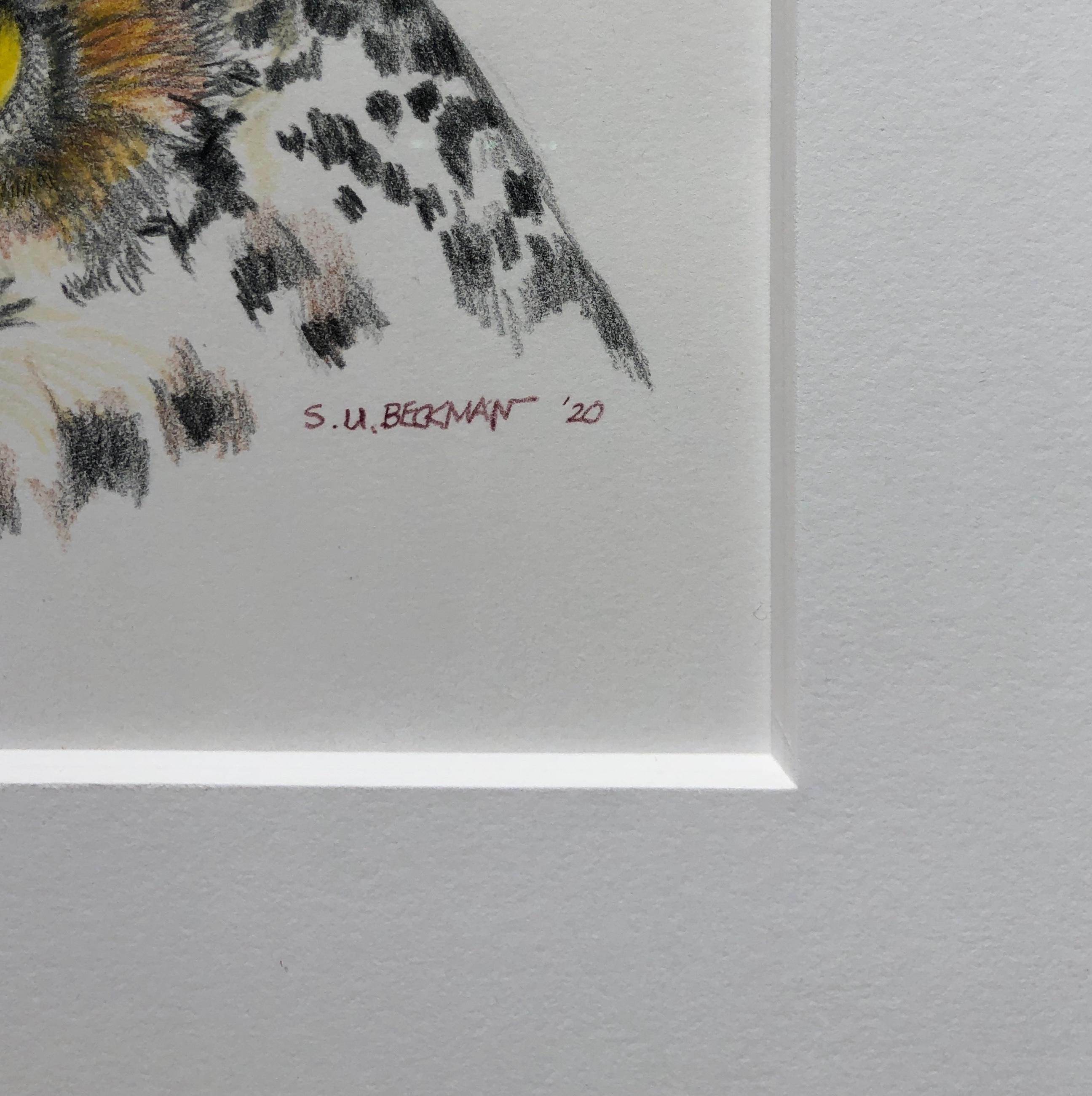 With its long, earlike tufts, intimidating yellow-eyed stare, and deep hooting voice, the Great Horned Owl is the quintessential owl of storybooks.  This detail color pencil drawing captures the eerie beauty that mother nature has given us.  This