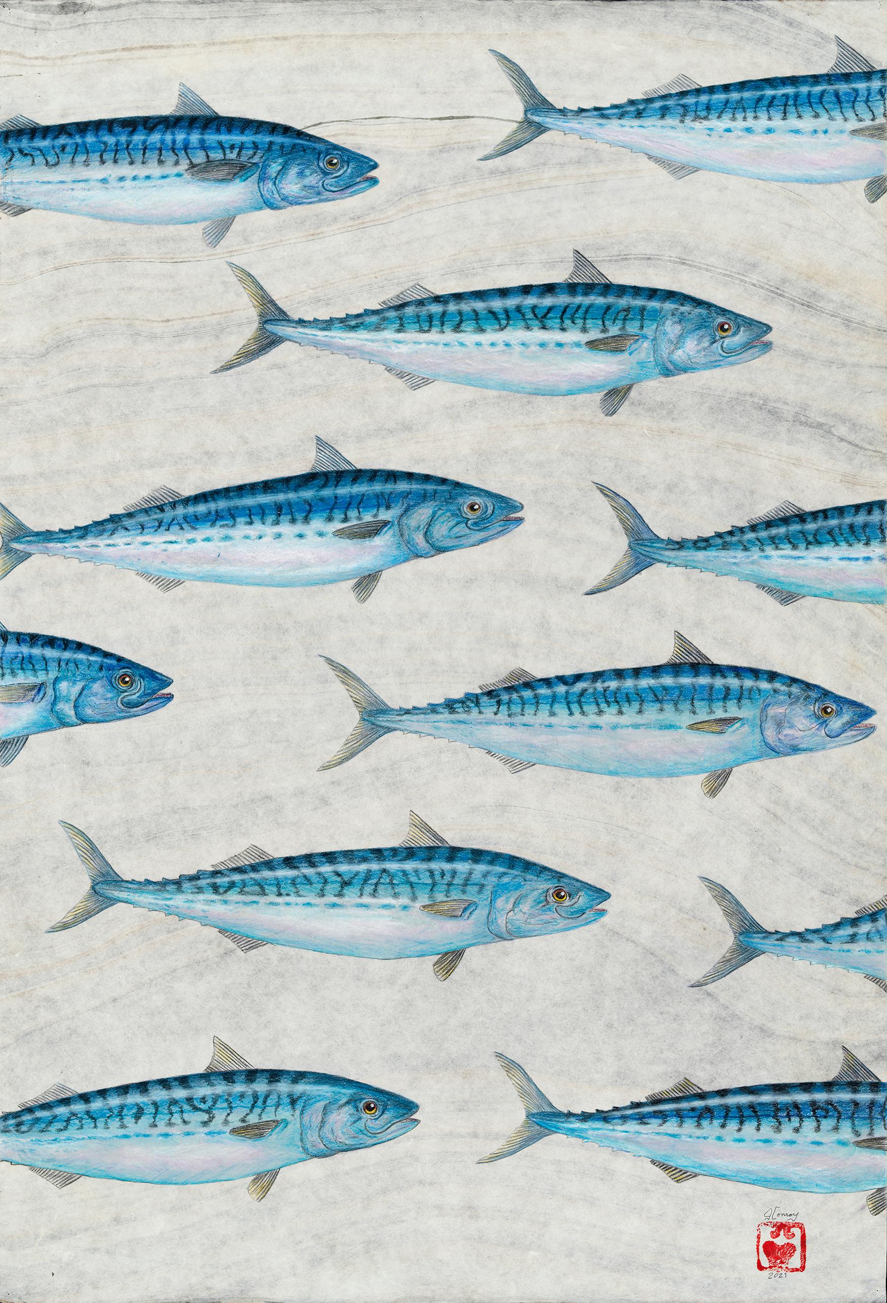 Jeff Conroy Animal Art - Mack Pack - A Gathering Mackerel Swimming, Watercolor on Mulberry Paper 