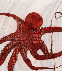 Black Cherry - Gyotaku Style Japanese Sumi Ink Painting, Large, Deep Red Octopus