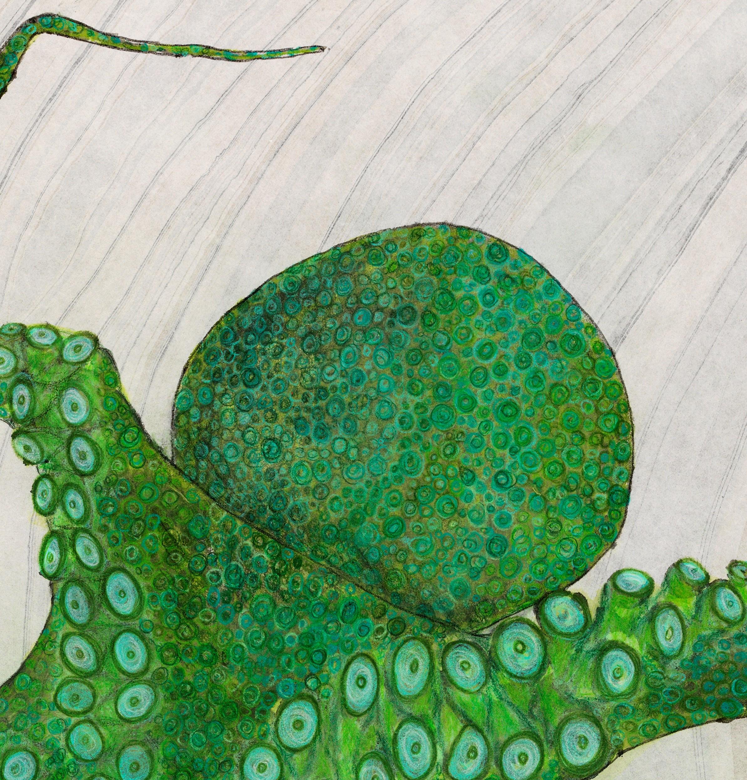 Mint Julep - Gyotaku Style Japanese Sumi Ink Painting, Large Green Octopus - Art by Jeff Conroy