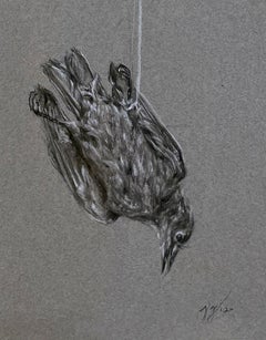 Study for As Above, So Below - Charcoal Drawing of a Bird on Gray Toned Paper