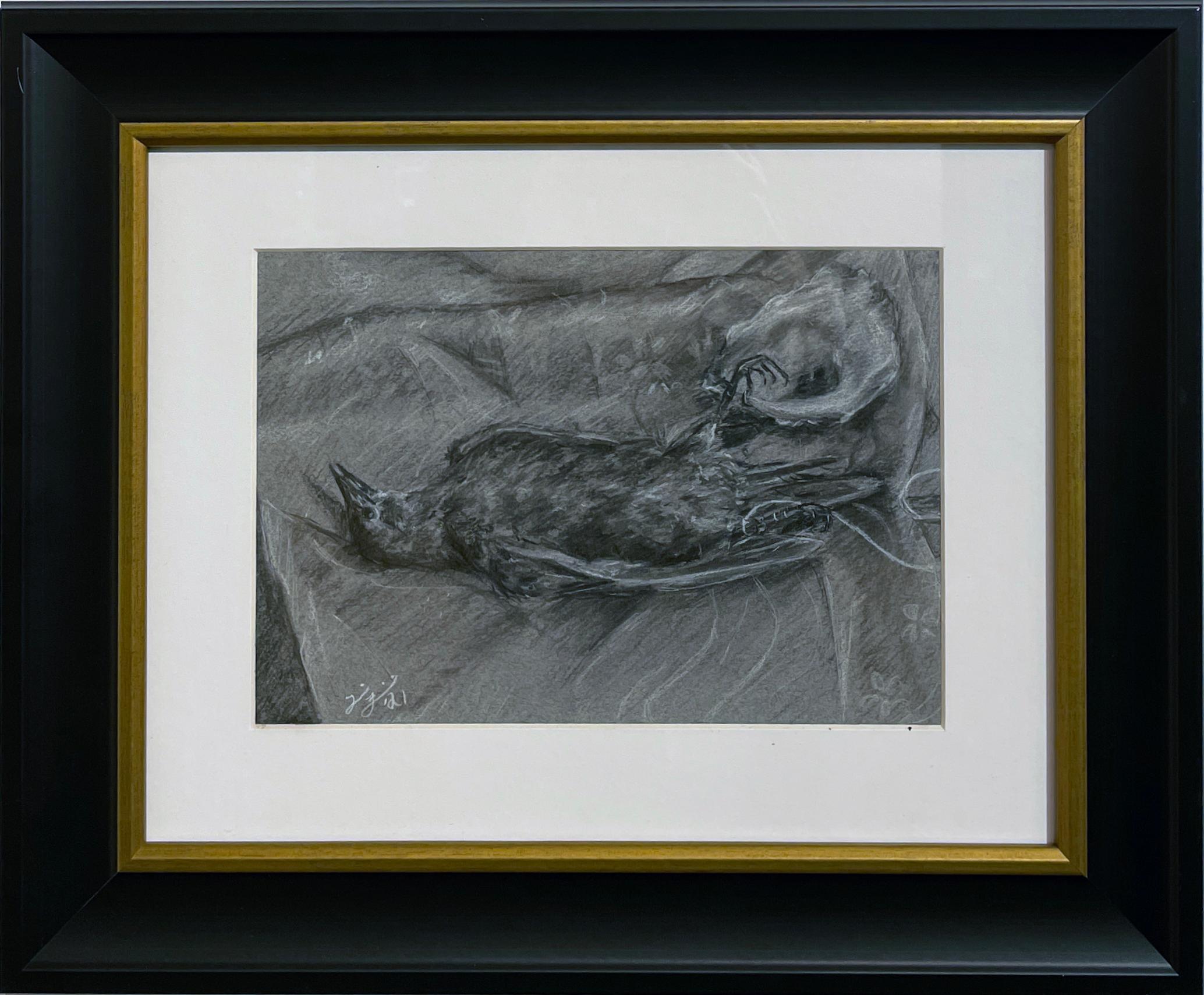 L'Ucello Study - Original Charcoal Study of a Bird on Toned Paper, Framed - Art by Tina Figarelli