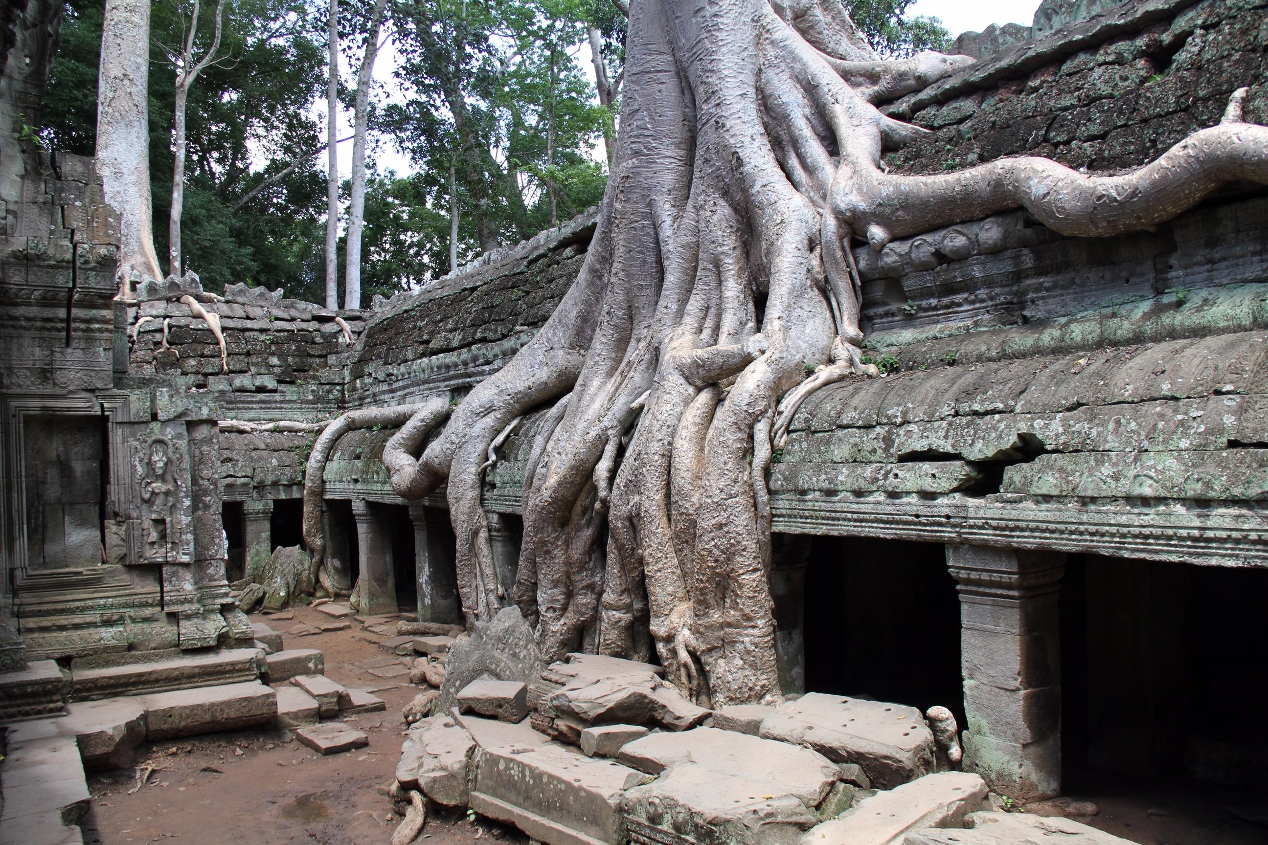 Nicholas Miller Portrait Photograph - Cambodia