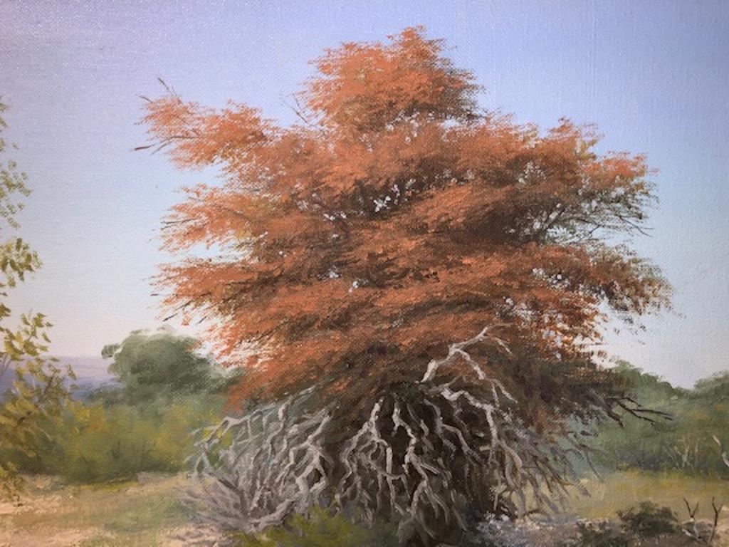 Texas Landscape - Other Art Style Painting by Joe G Russell