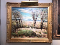 Landscape in Spring