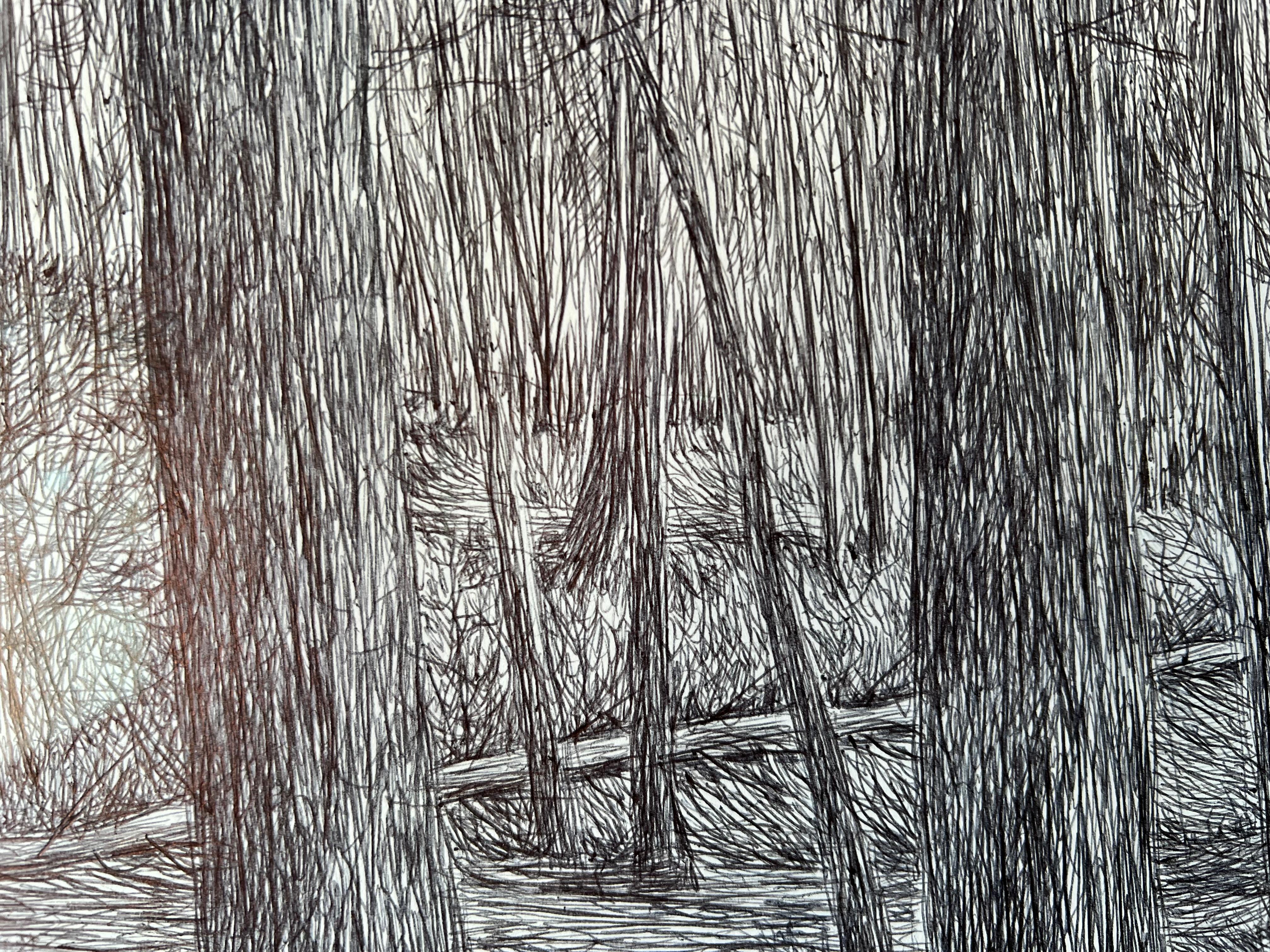 Texas Landscape #1 1