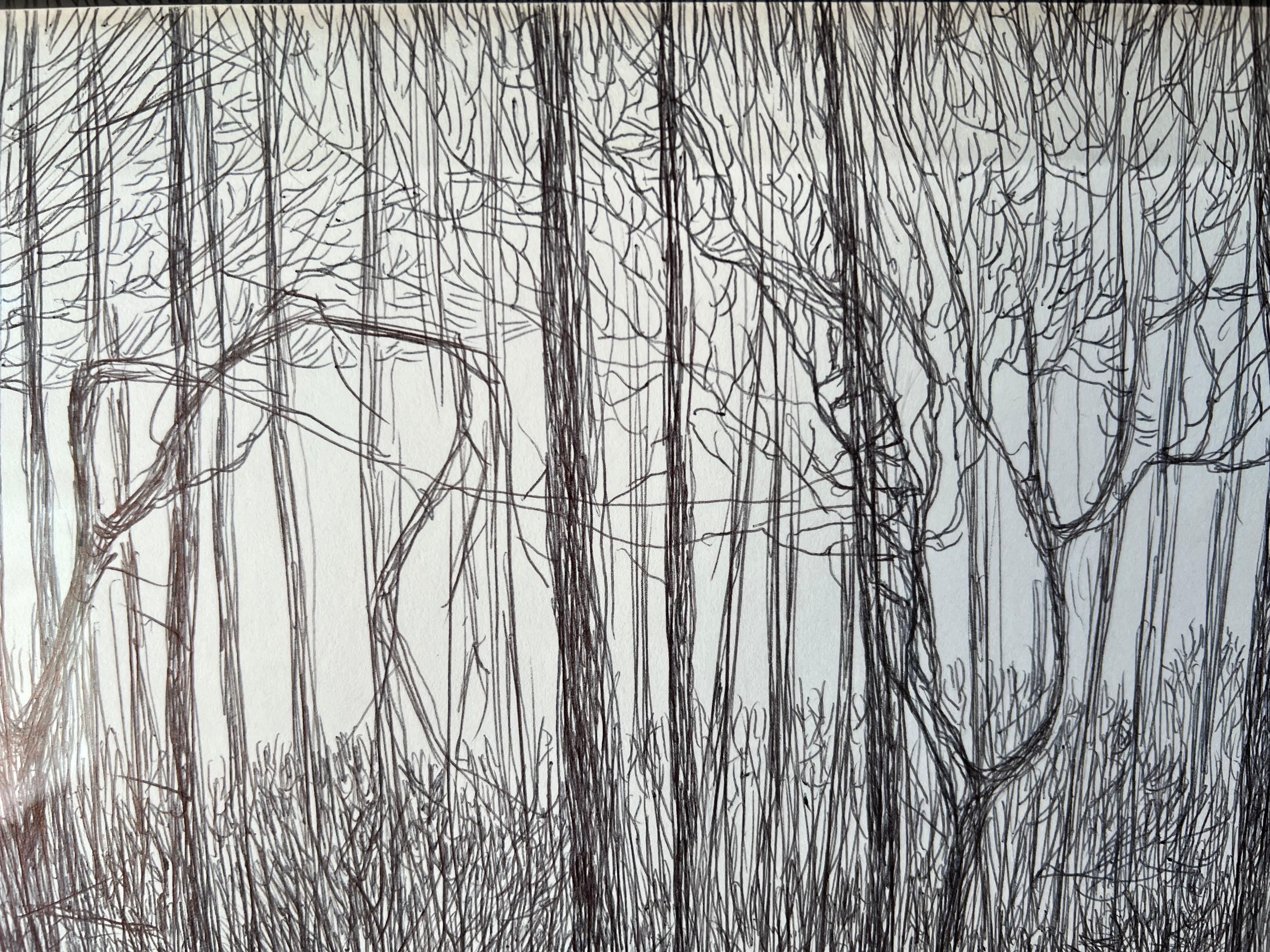 Texas Landscape #1 2