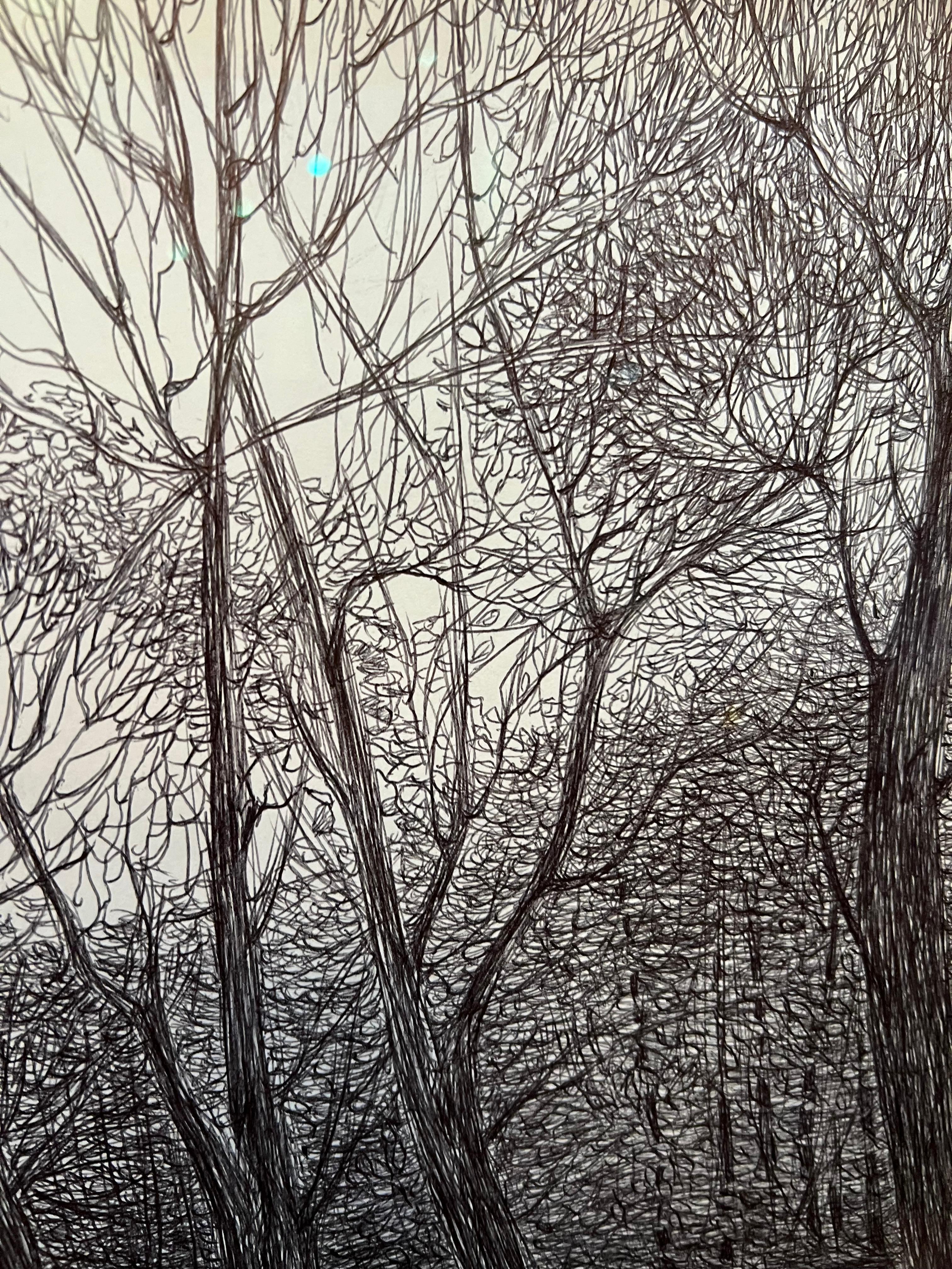 Ukrainian artist, leaving in Houston, TX. Uses special technique of pen drawing on paper. His works are presented in the multiple private collections worldwide and European galleries. 

“Texas Landscape”, 2023

Pen on paper, signed lower left

21”h